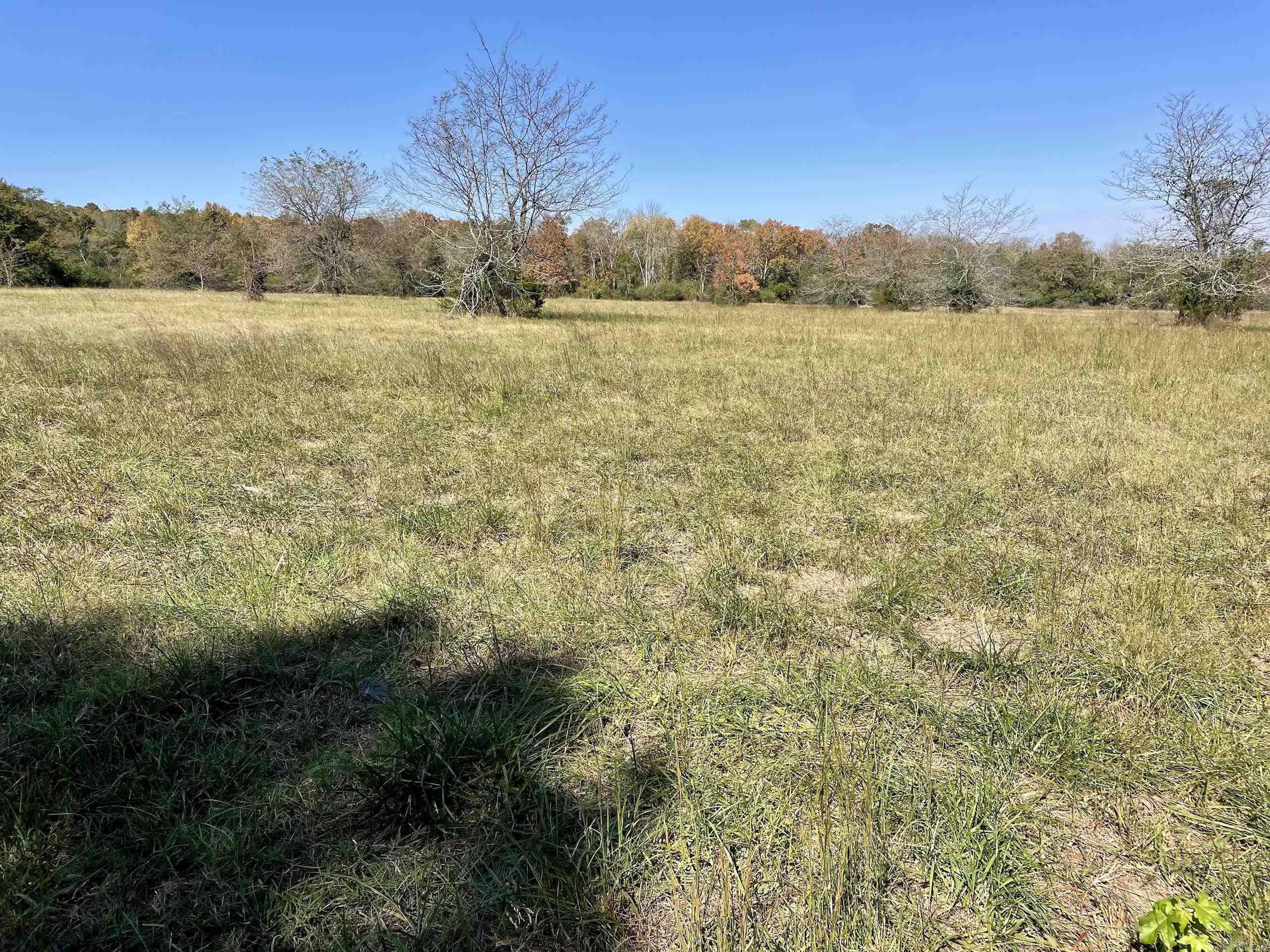 001 Overton Road Road Property Photo 34
