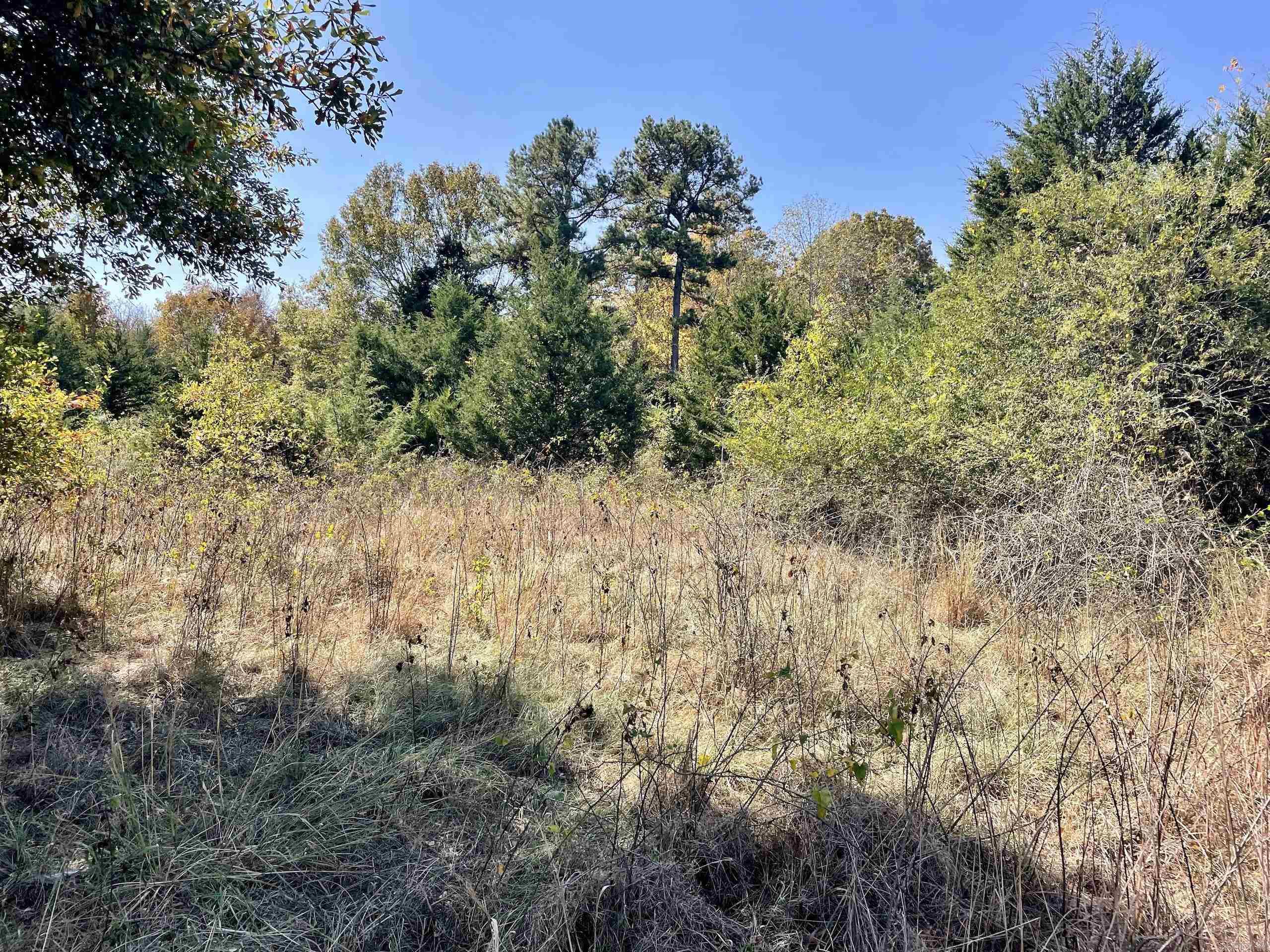 001 Overton Road Road Property Photo 36