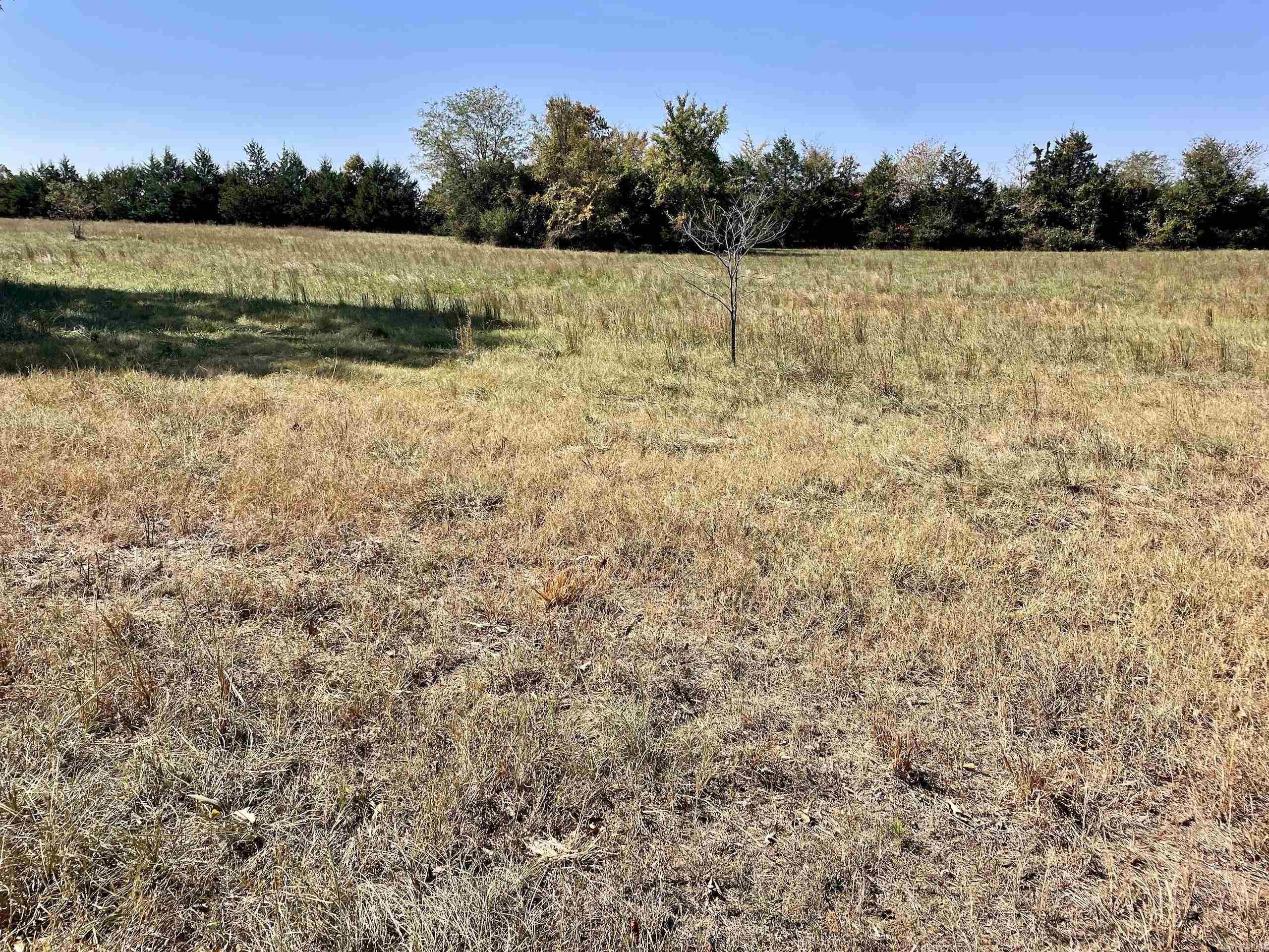 001 Overton Road Road Property Photo 41
