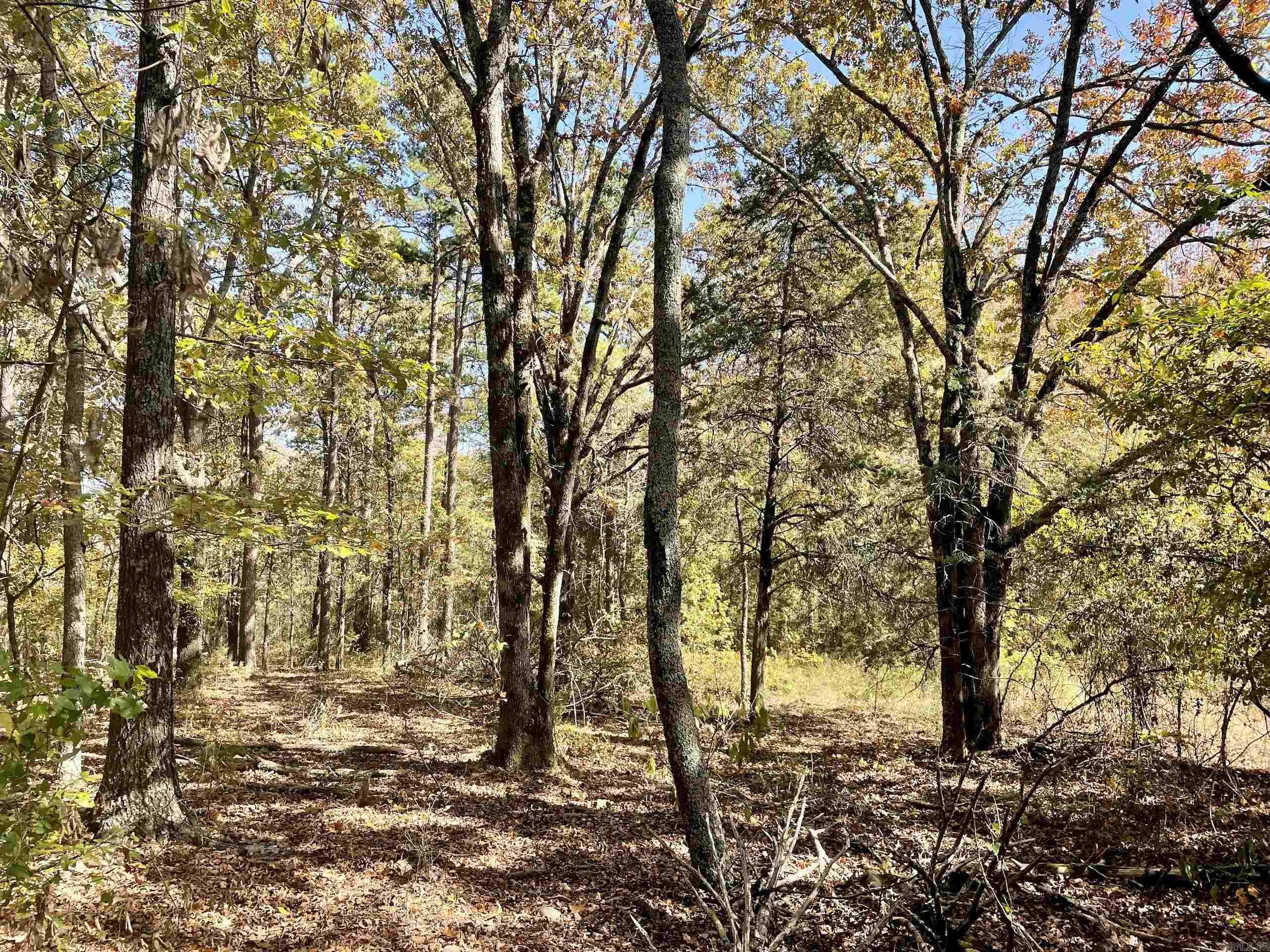 001 Overton Road Road Property Photo 47