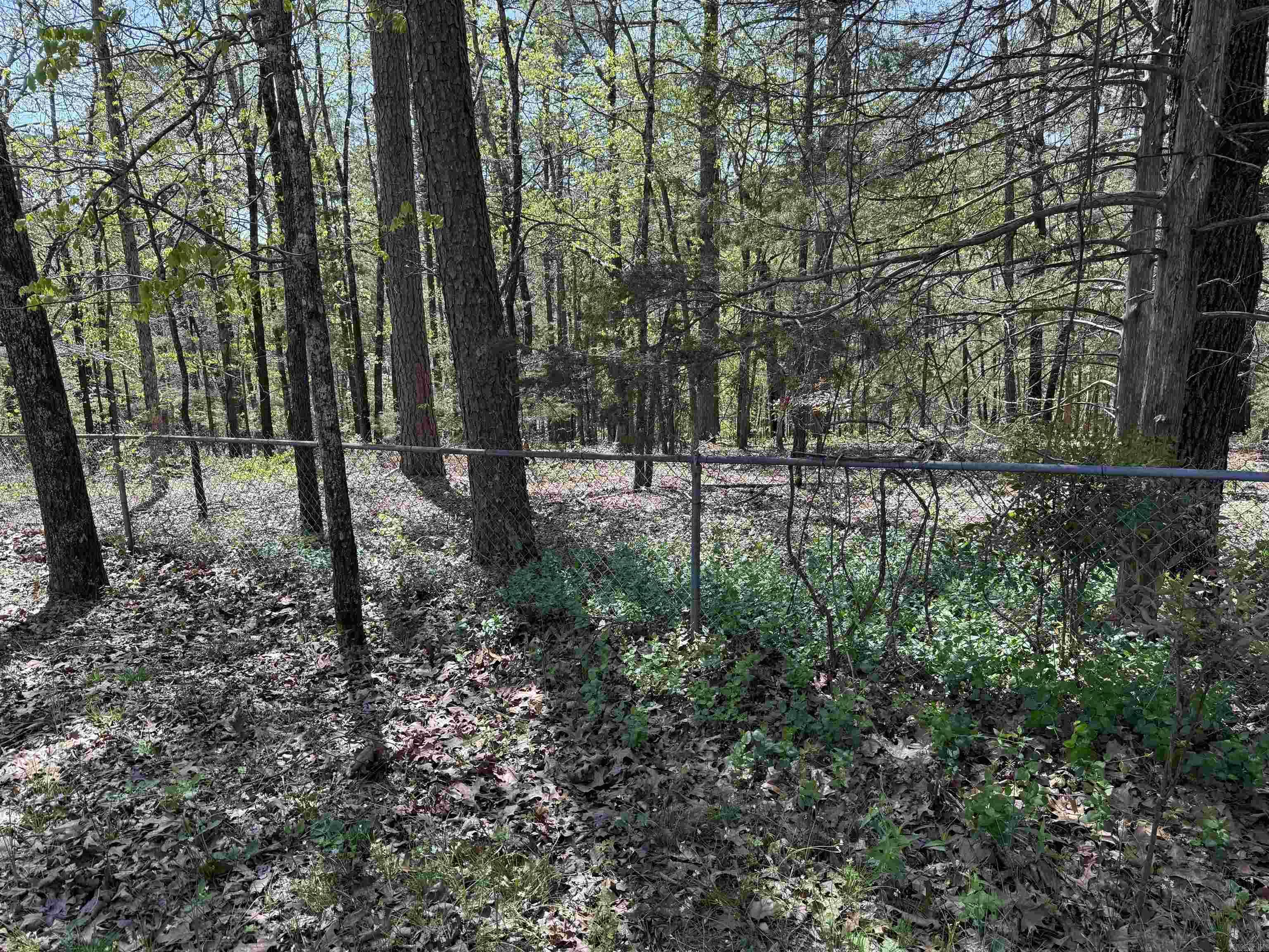 116 Dunn Hollow Property Photo 40