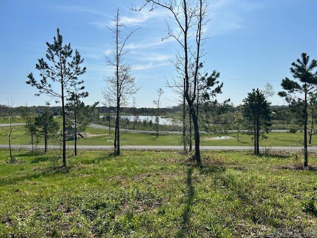 Lot 14 Barking Squirrel Property Photo 1
