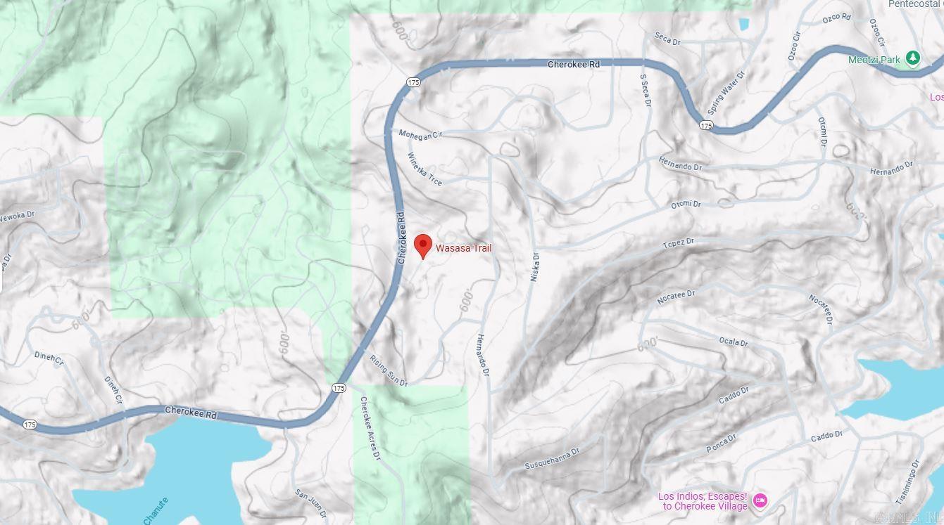 0 Wasasa Trail Property Photo 3