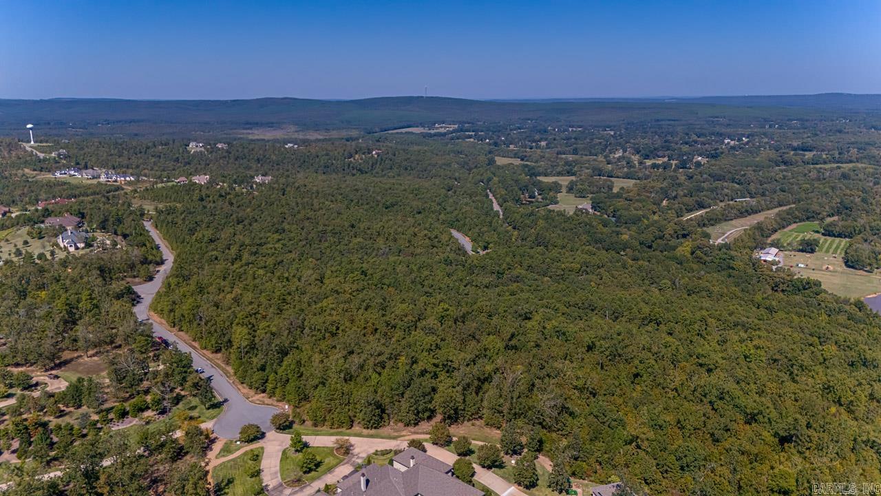 13908 Ridge Point Lane Property Photo 6