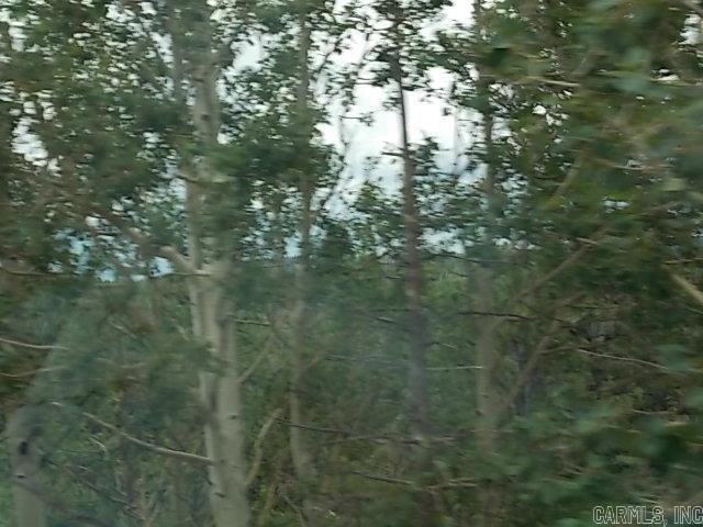 000 Oak Run Drive Property Photo 1