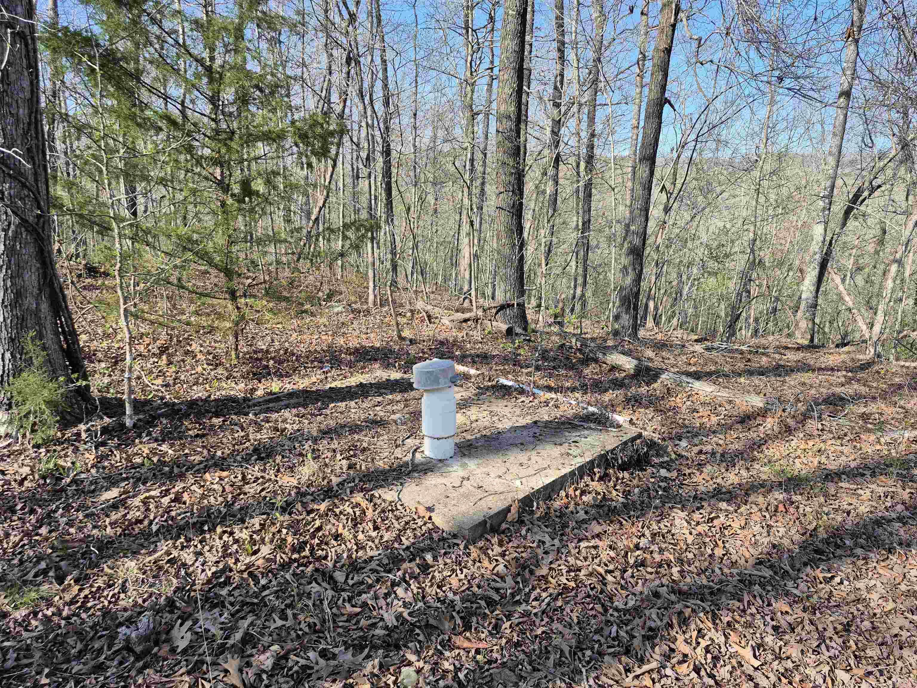 255 Unbreakable Rd Property Photo 2