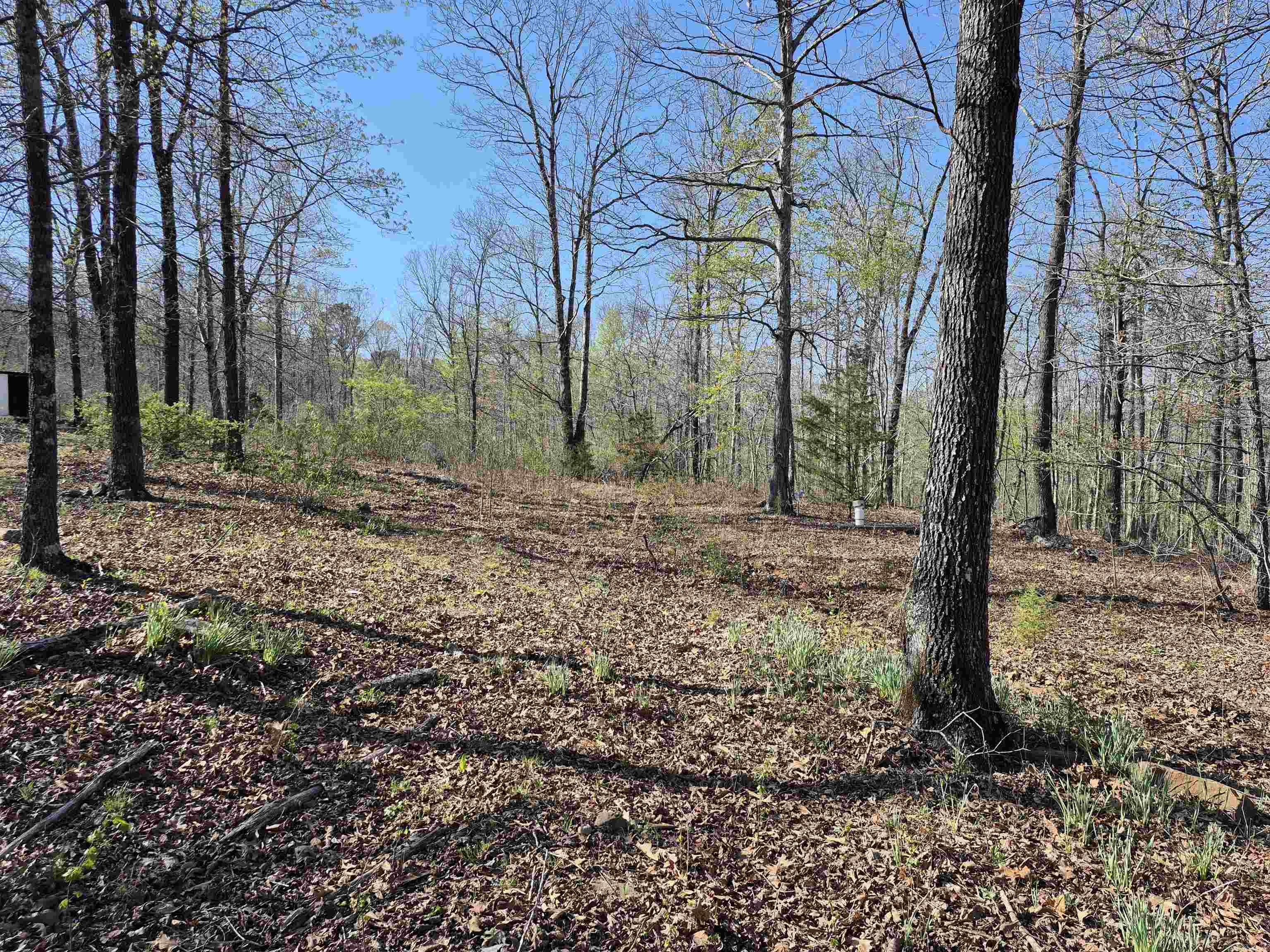 255 Unbreakable Rd Property Photo 3
