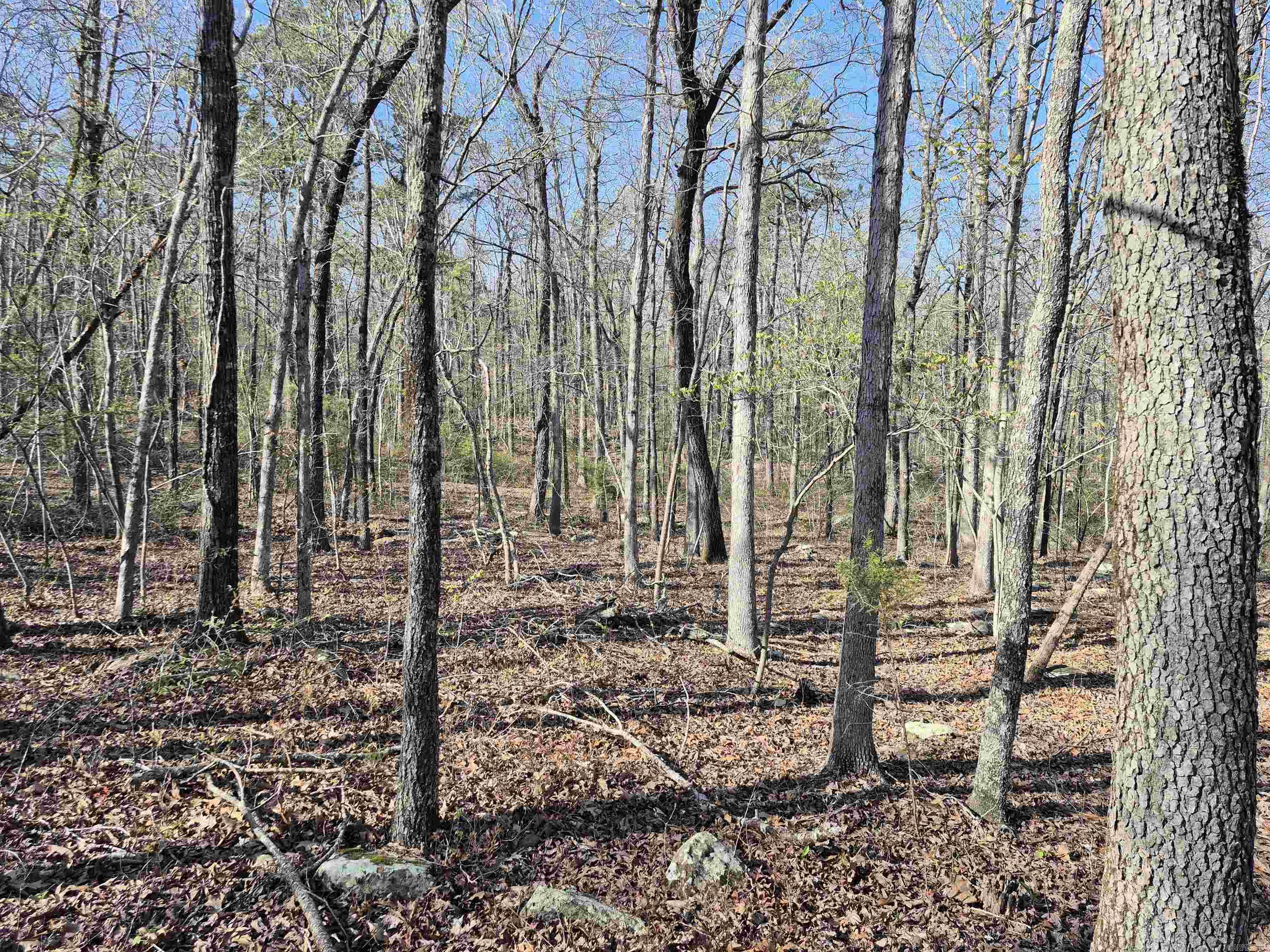 255 Unbreakable Rd Property Photo 8