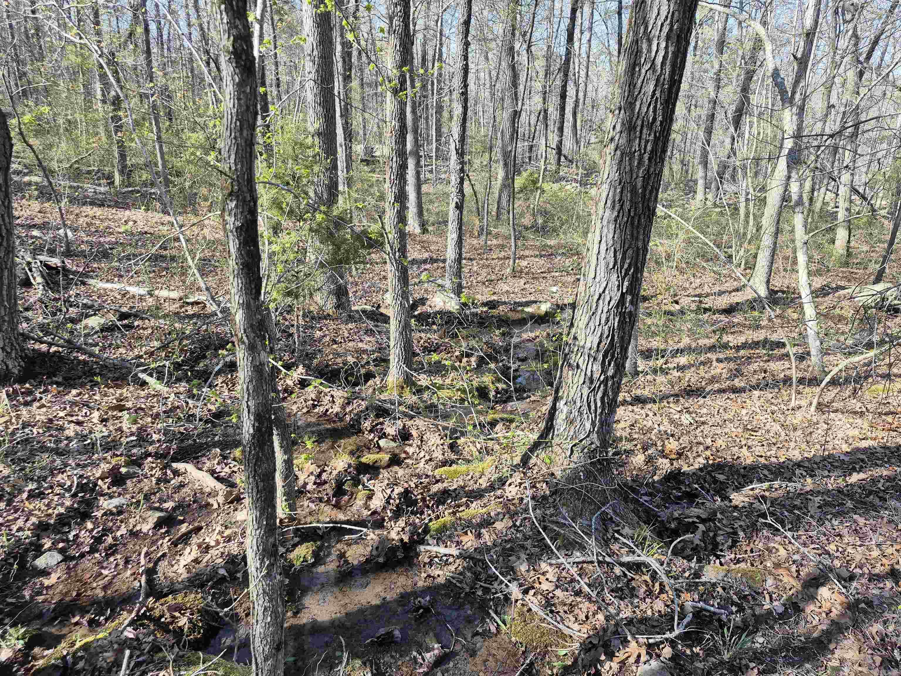 255 Unbreakable Rd Property Photo 10