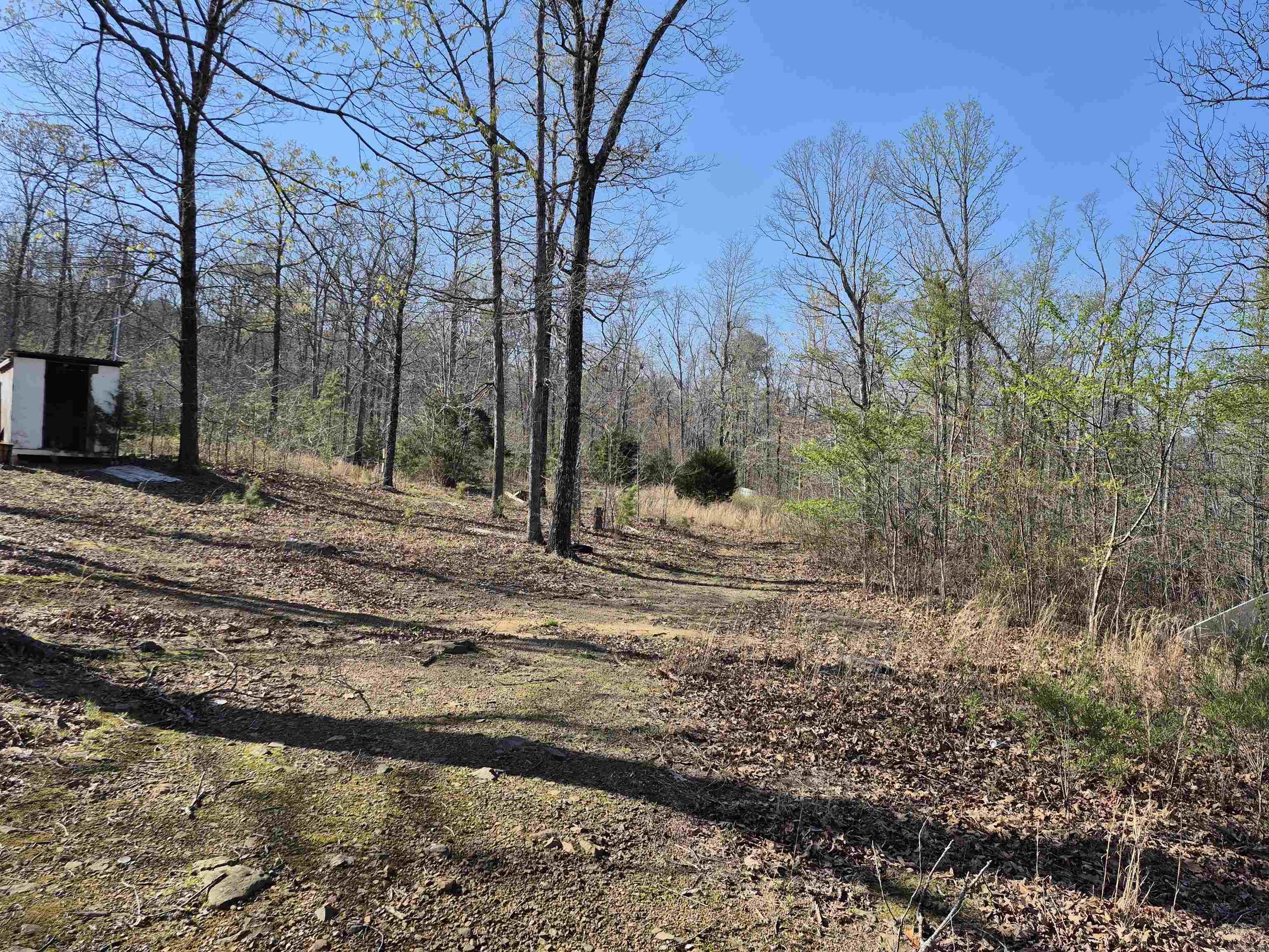 255 Unbreakable Rd Property Photo 12