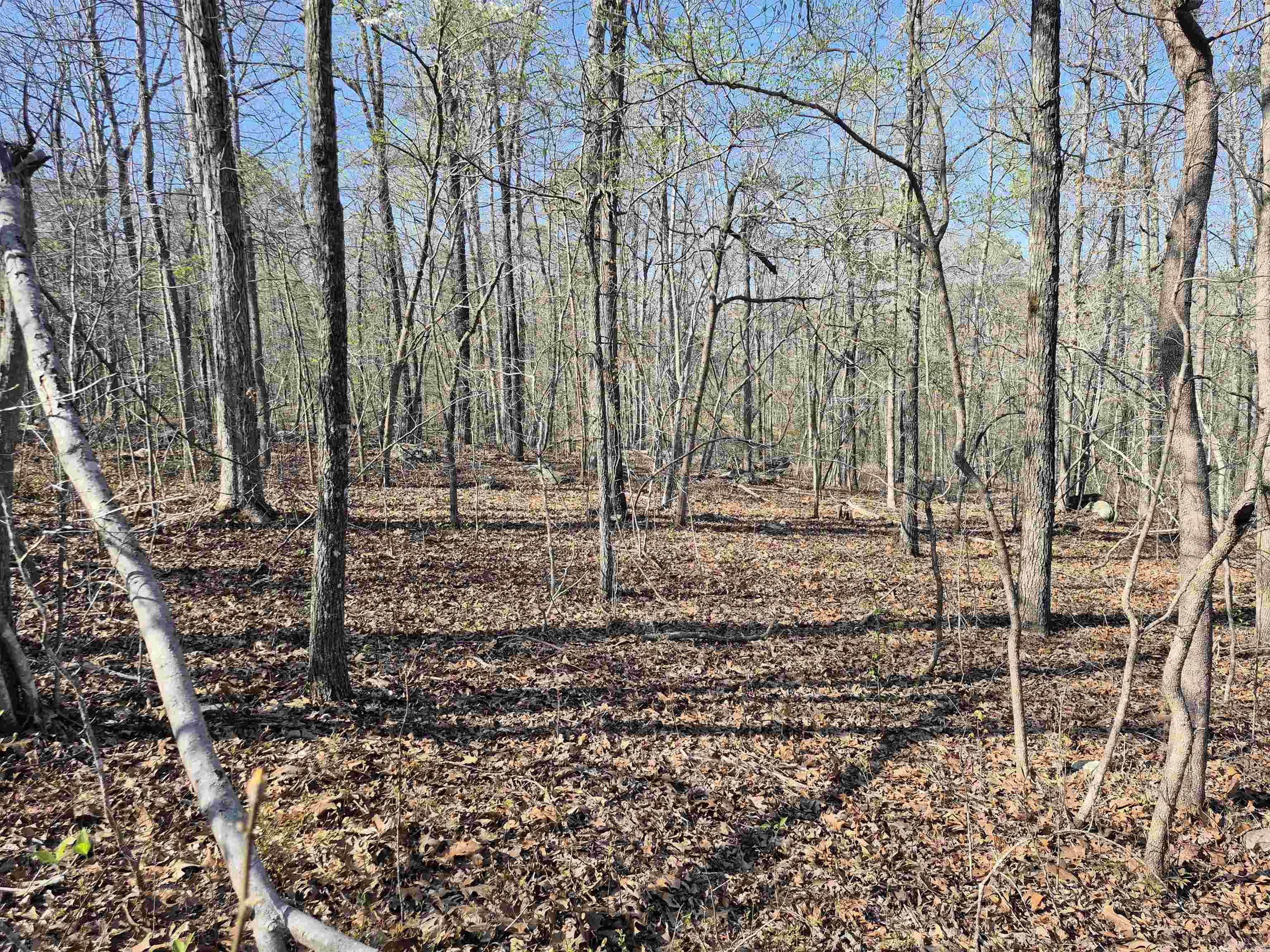 255 Unbreakable Rd Property Photo 13