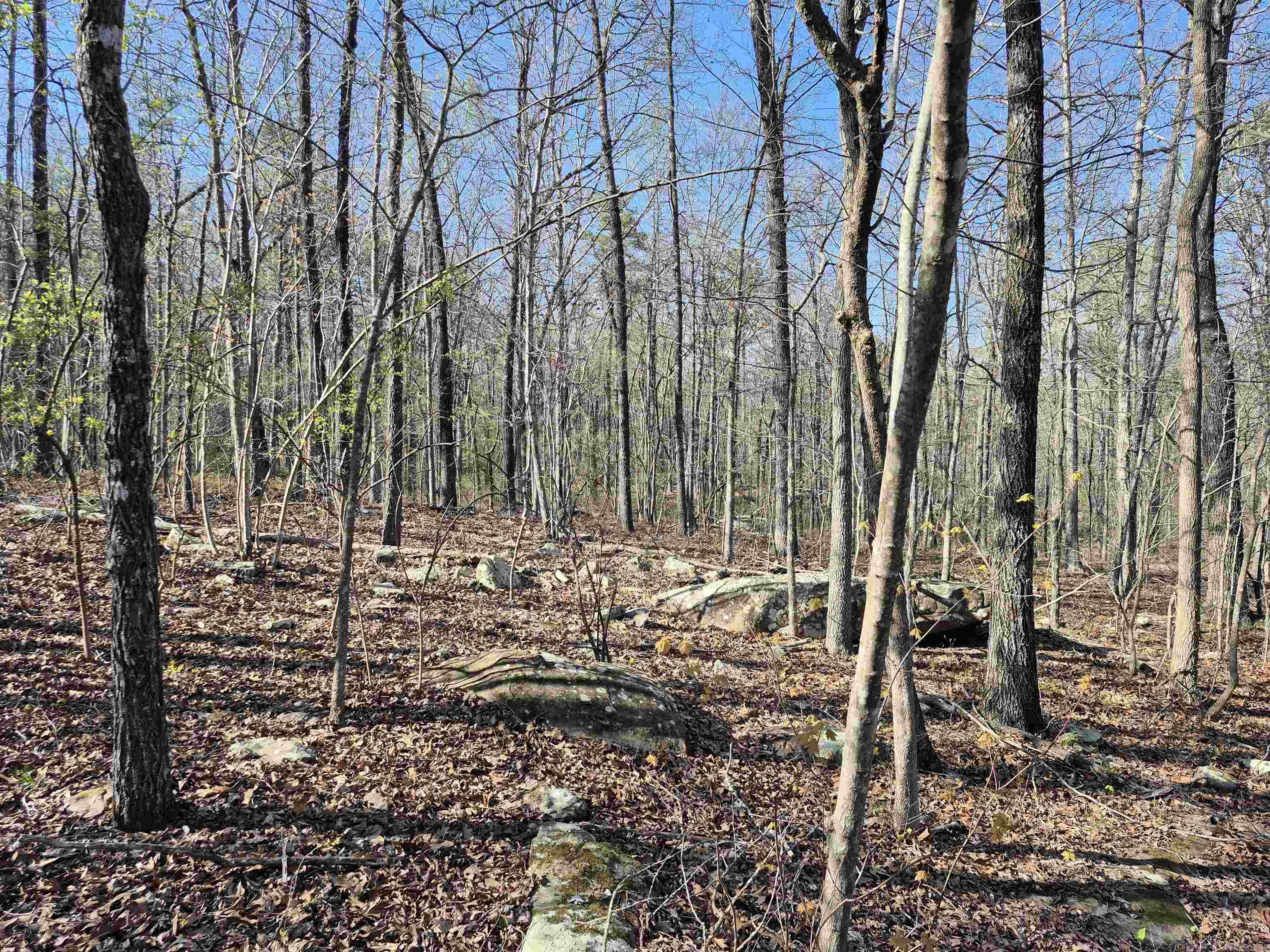 255 Unbreakable Rd Property Photo 14
