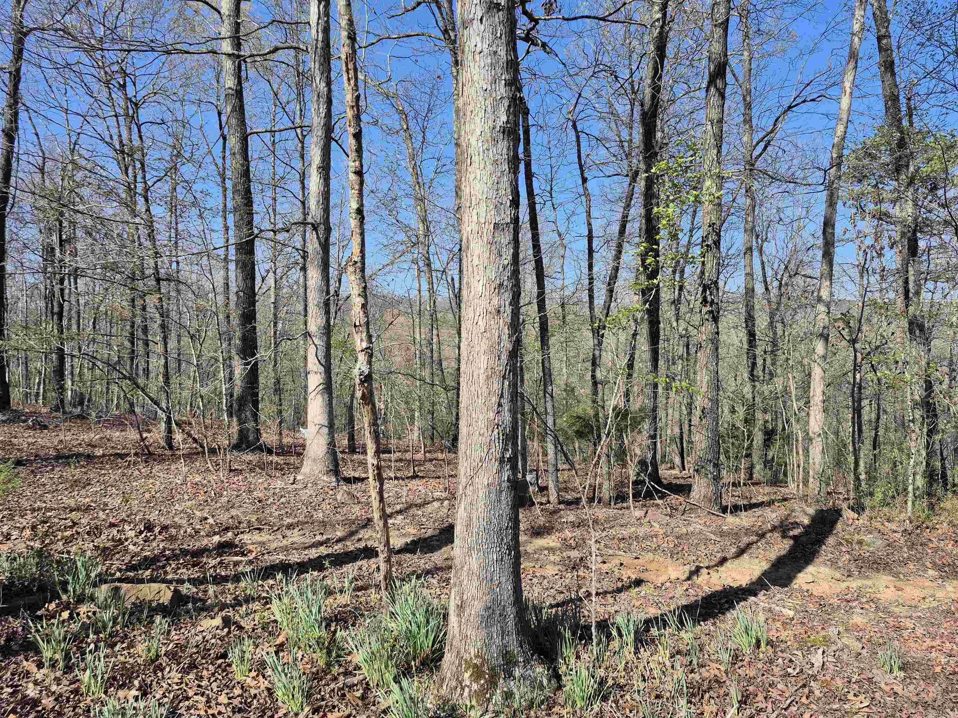 255 Unbreakable Rd Property Photo 17
