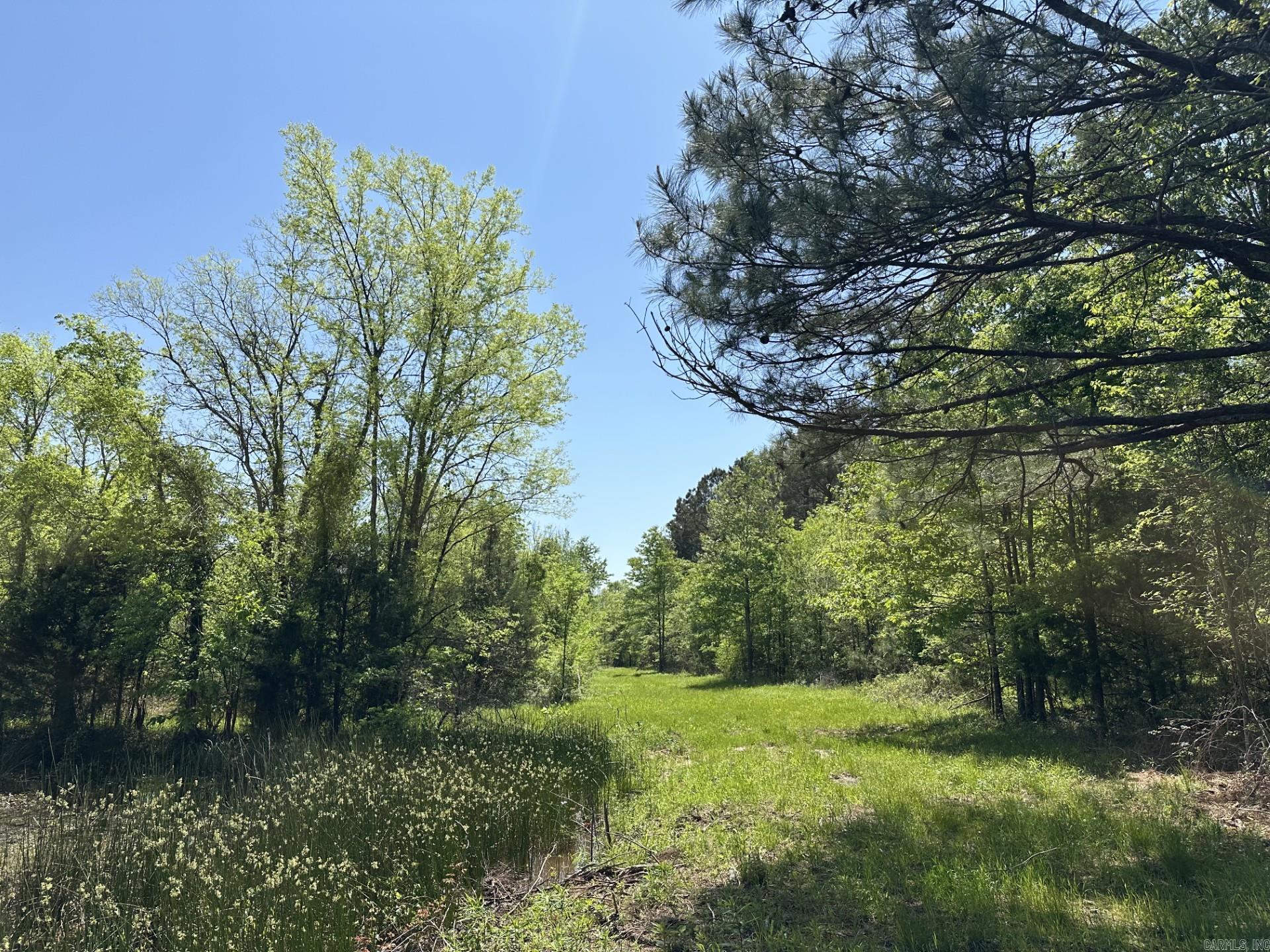 000 Us Highway 71 Property Photo 3