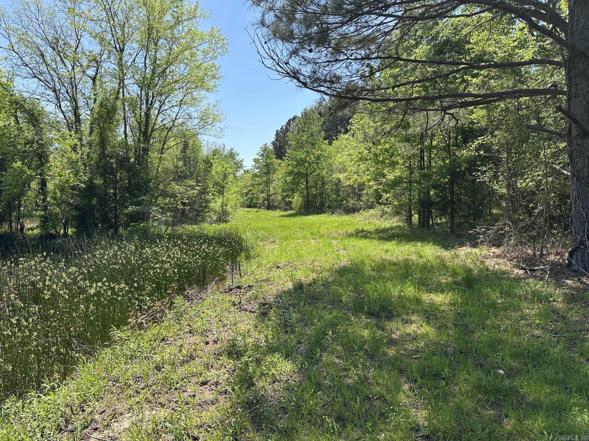 000 Us Highway 71 Property Photo 5