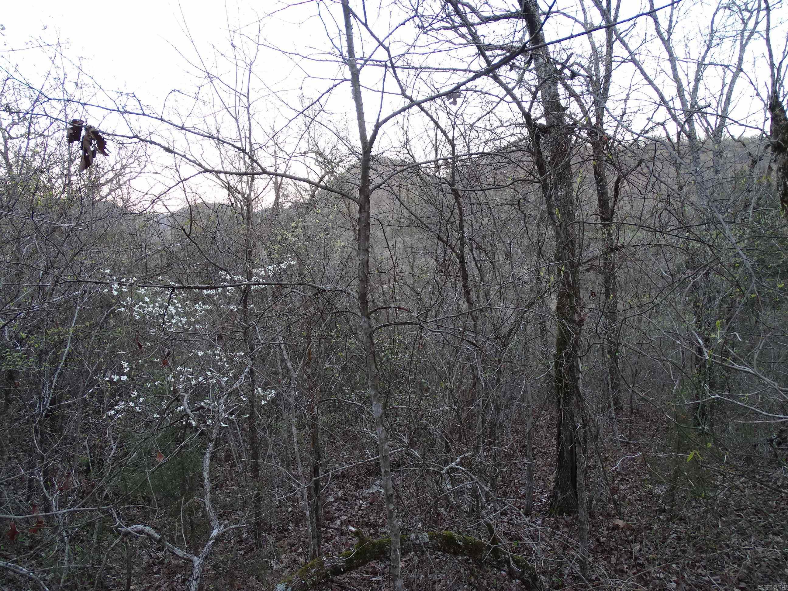 001-00379-001 Mc 6064 Property Photo 28