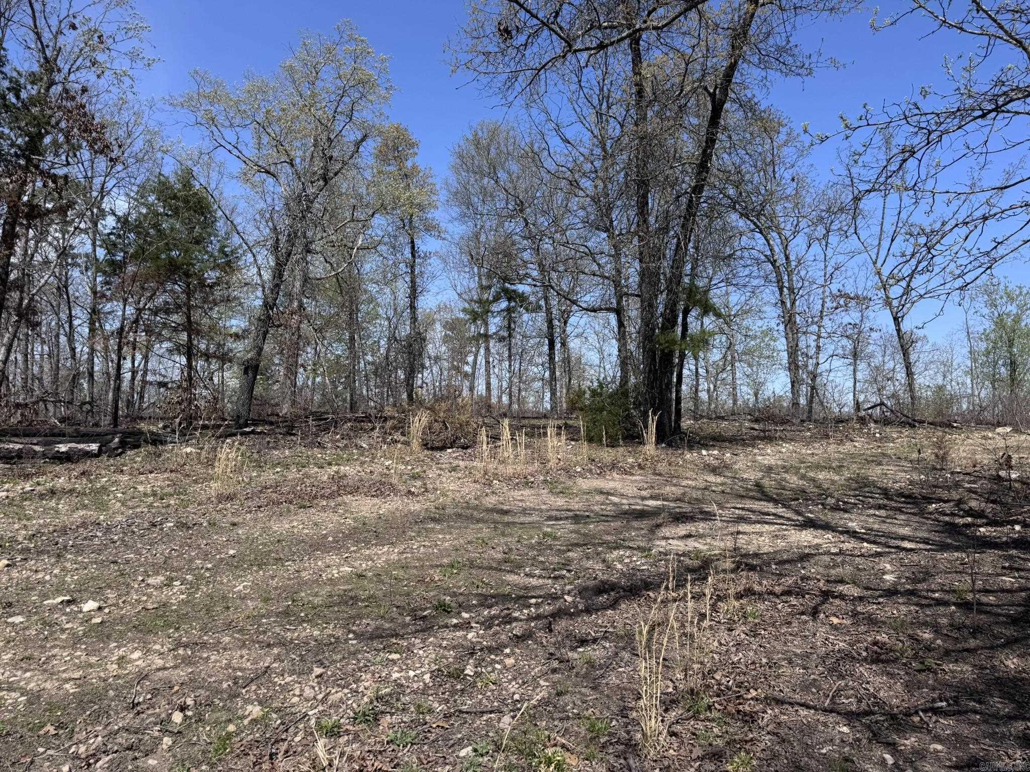 155a Campground Road Property Photo 2