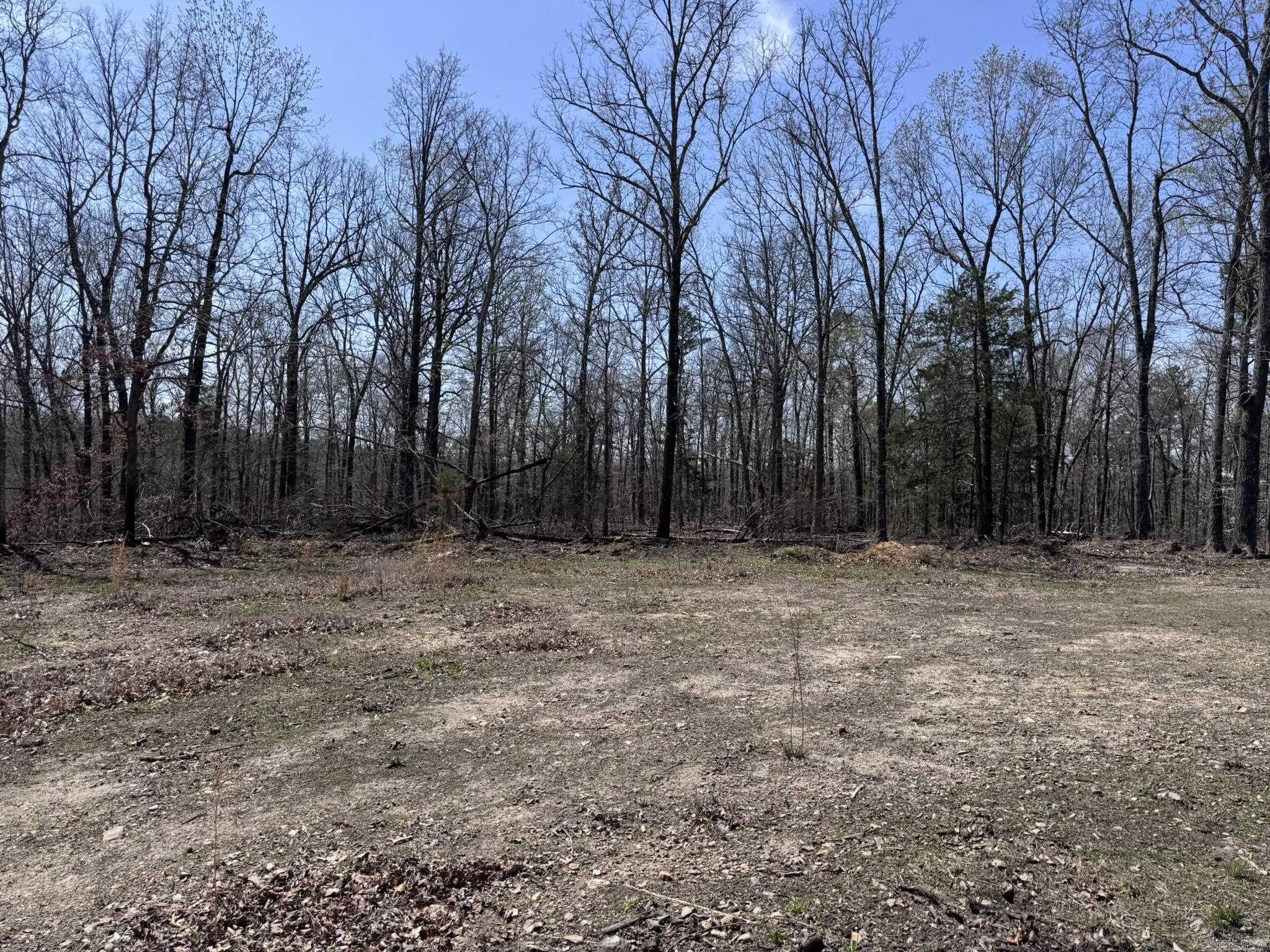 155a Campground Road Property Photo 3