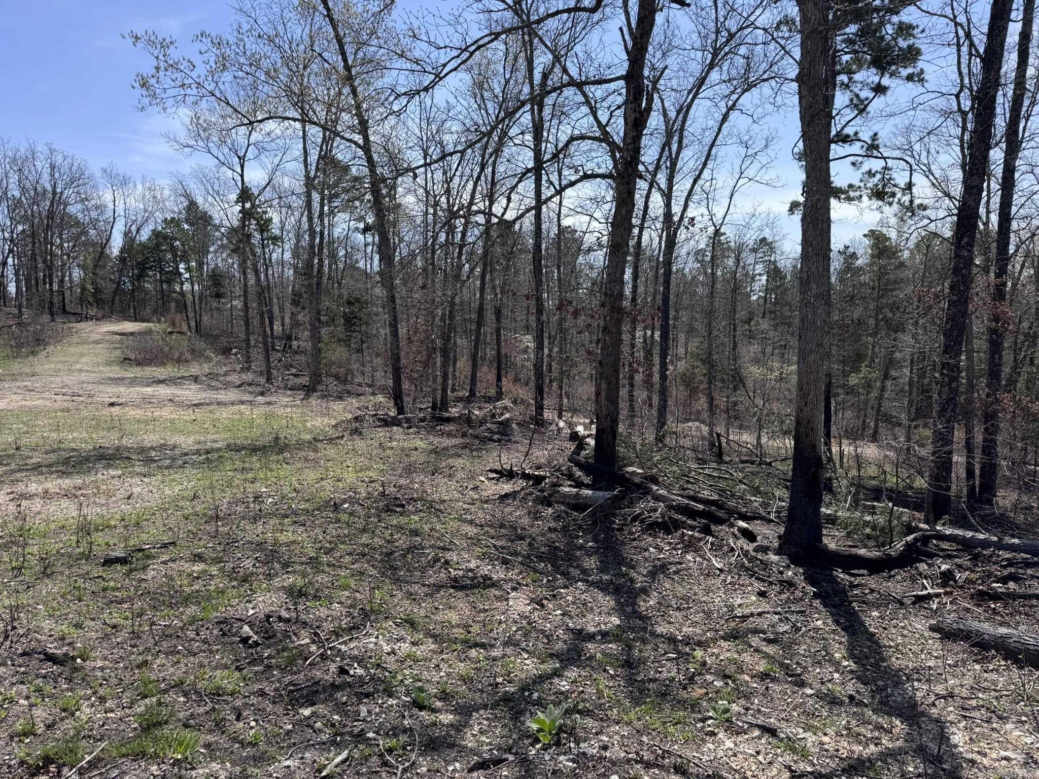 155a Campground Road Property Photo 9