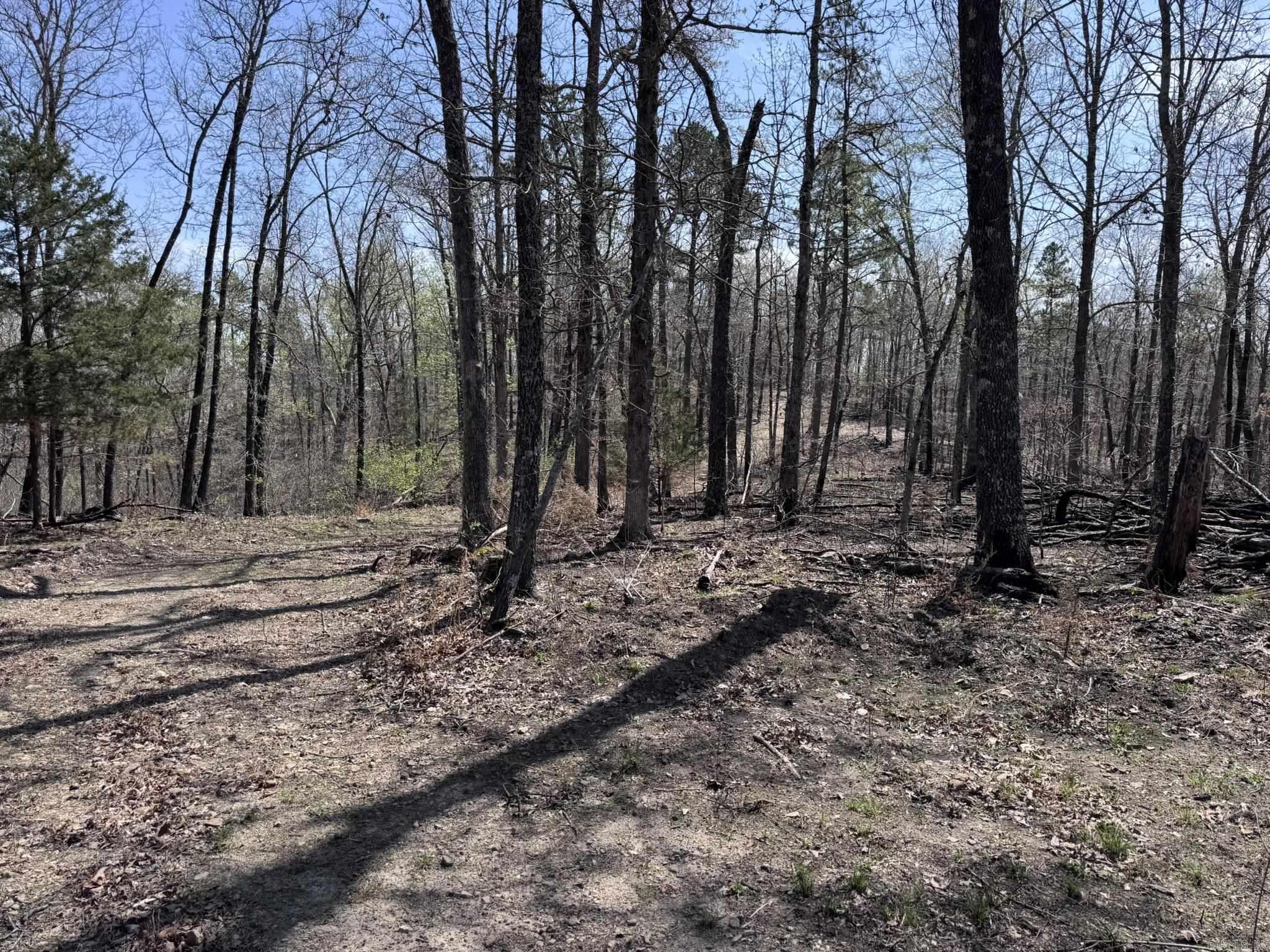 155a Campground Road Property Photo 10