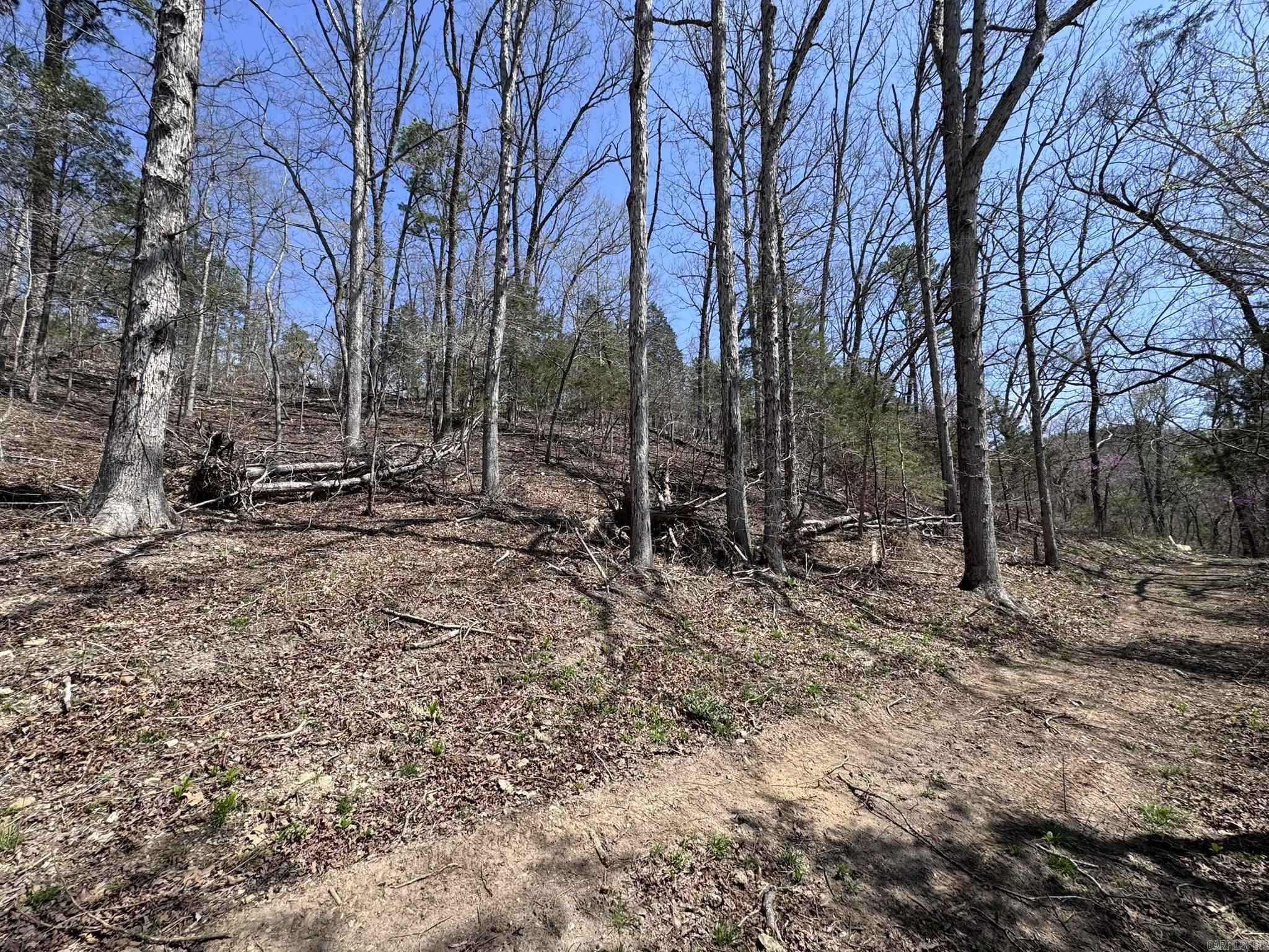 155a Campground Road Property Photo 17