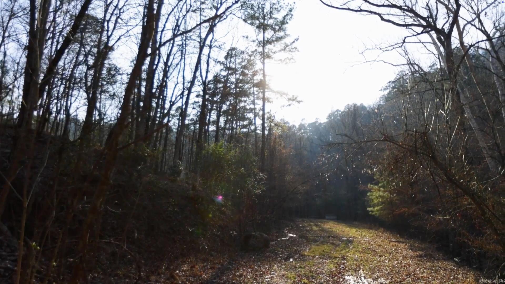3811 Foxcroft Road Property Photo 3