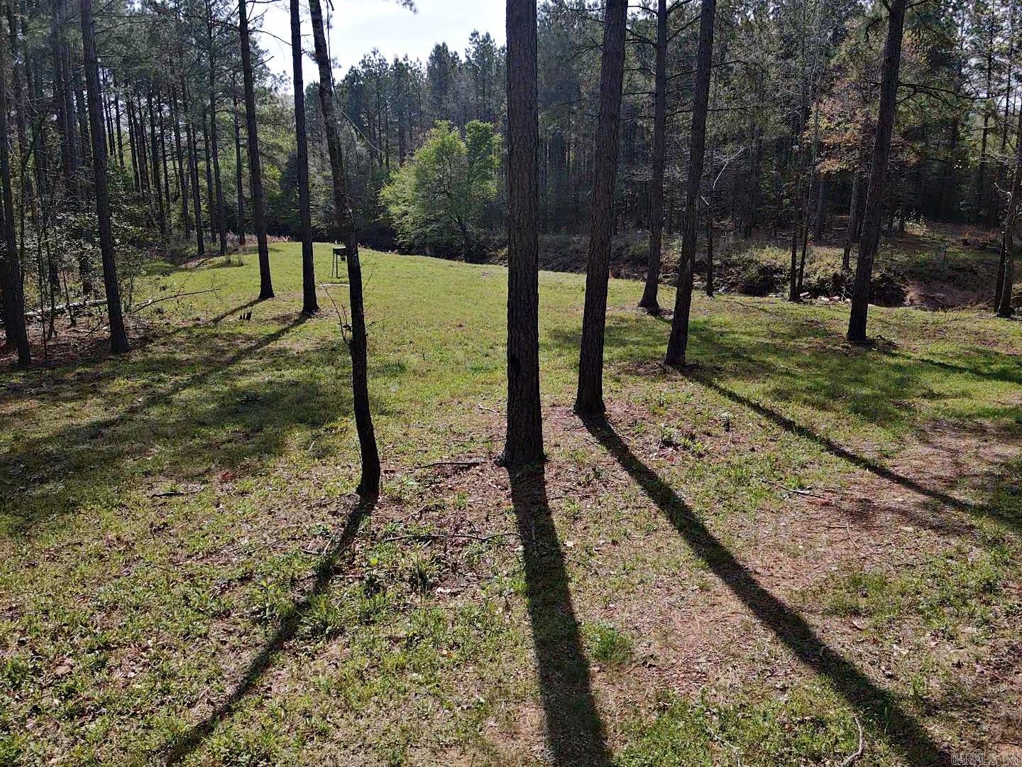 Tbd Shawmut Road Property Photo 6