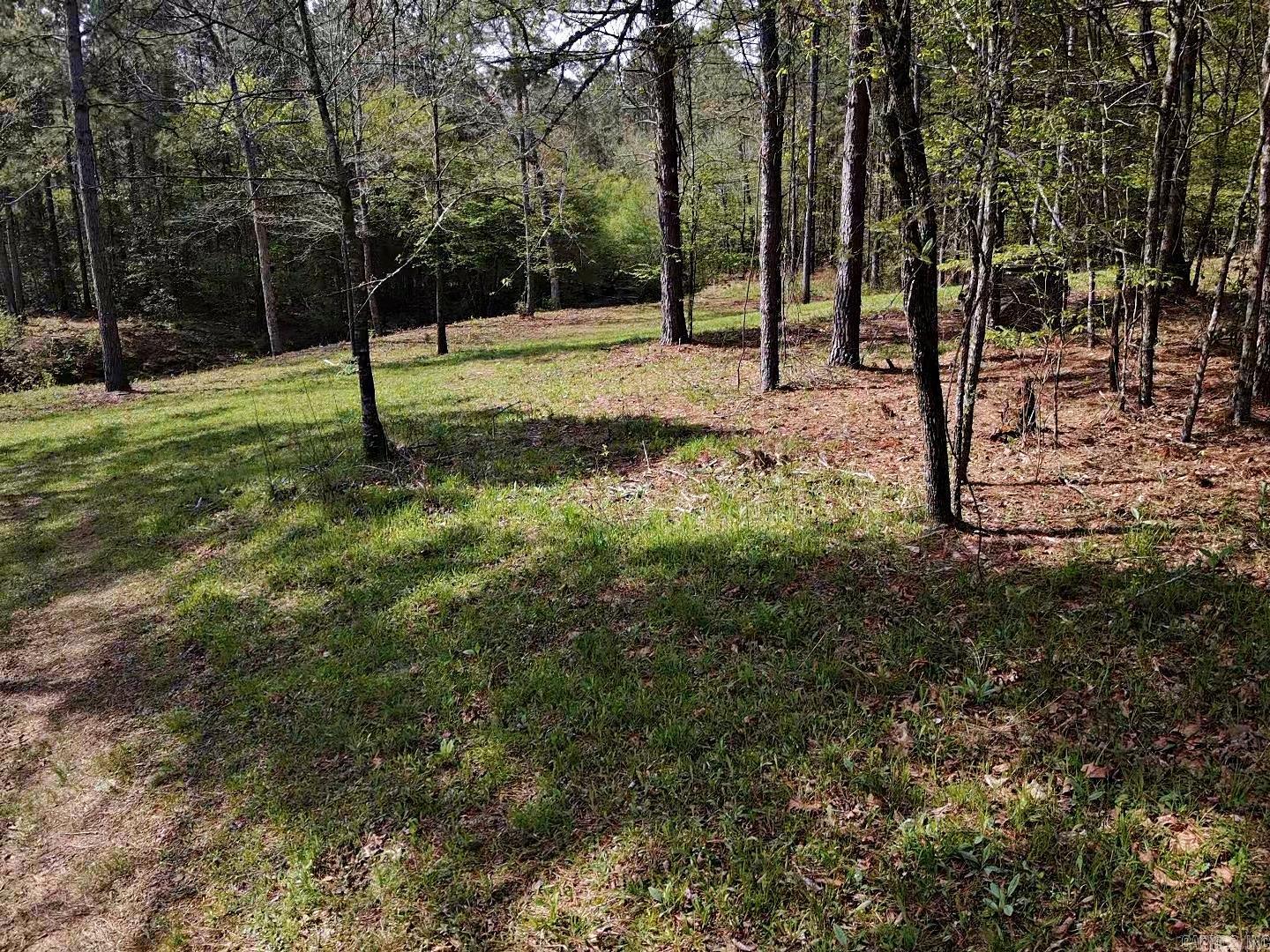 Tbd Shawmut Road Property Photo 7