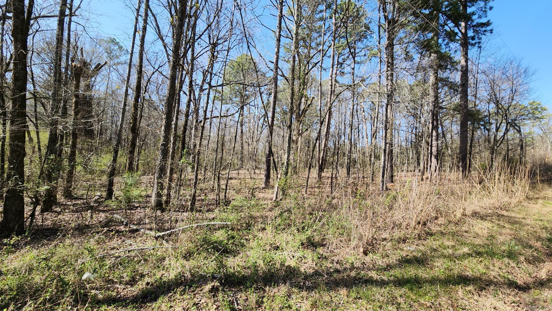 000 N Highway 7 North Property Photo 14
