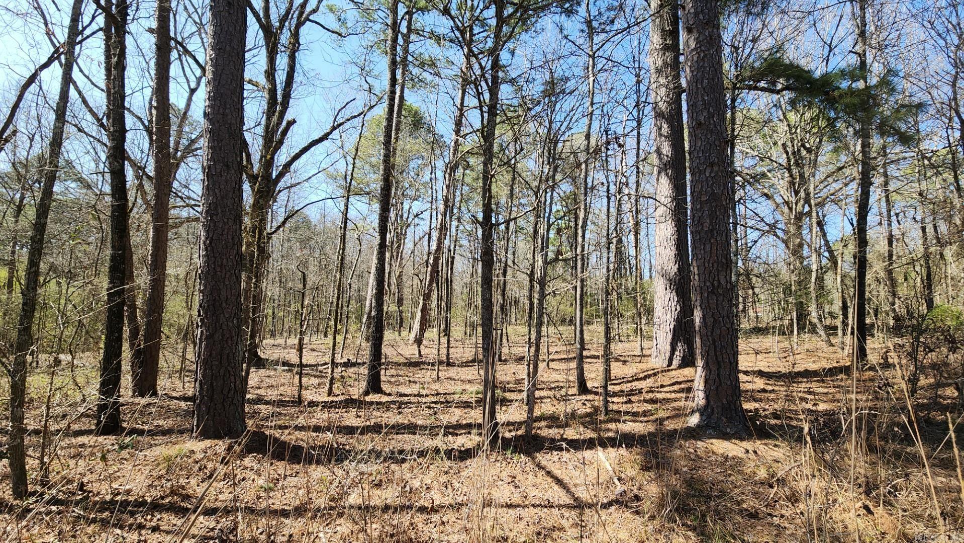 000 N Highway 7 North Property Photo 16