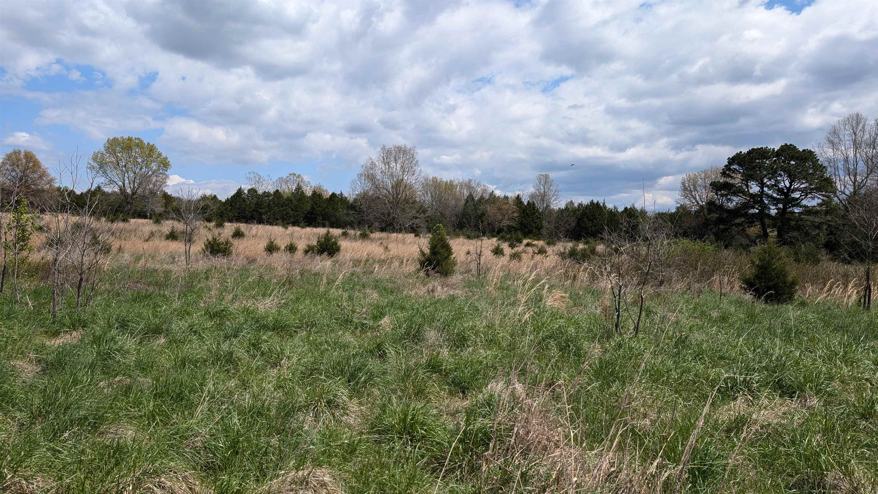 56 Highway Property Photo 3