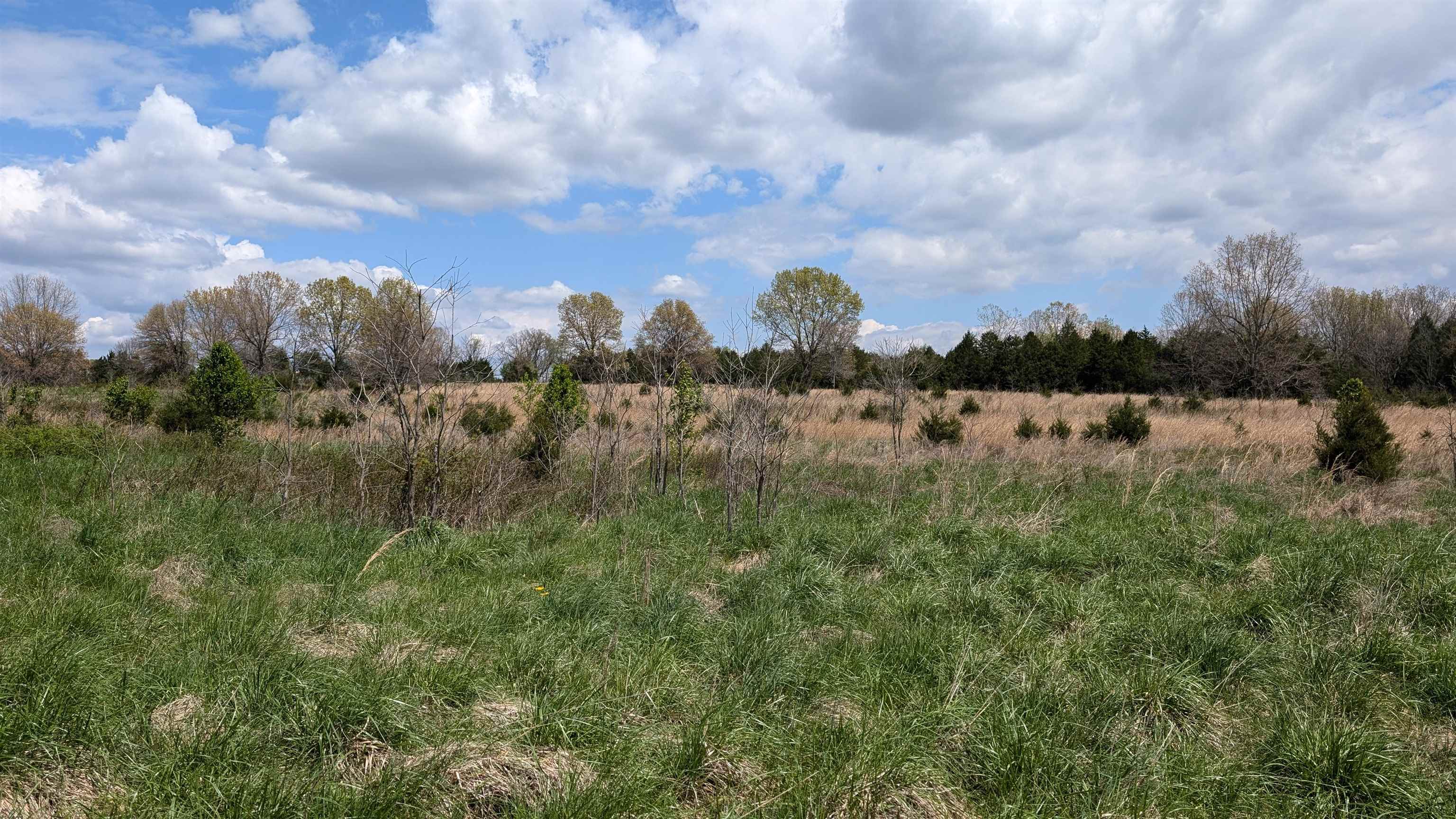 56 Highway Property Photo 4