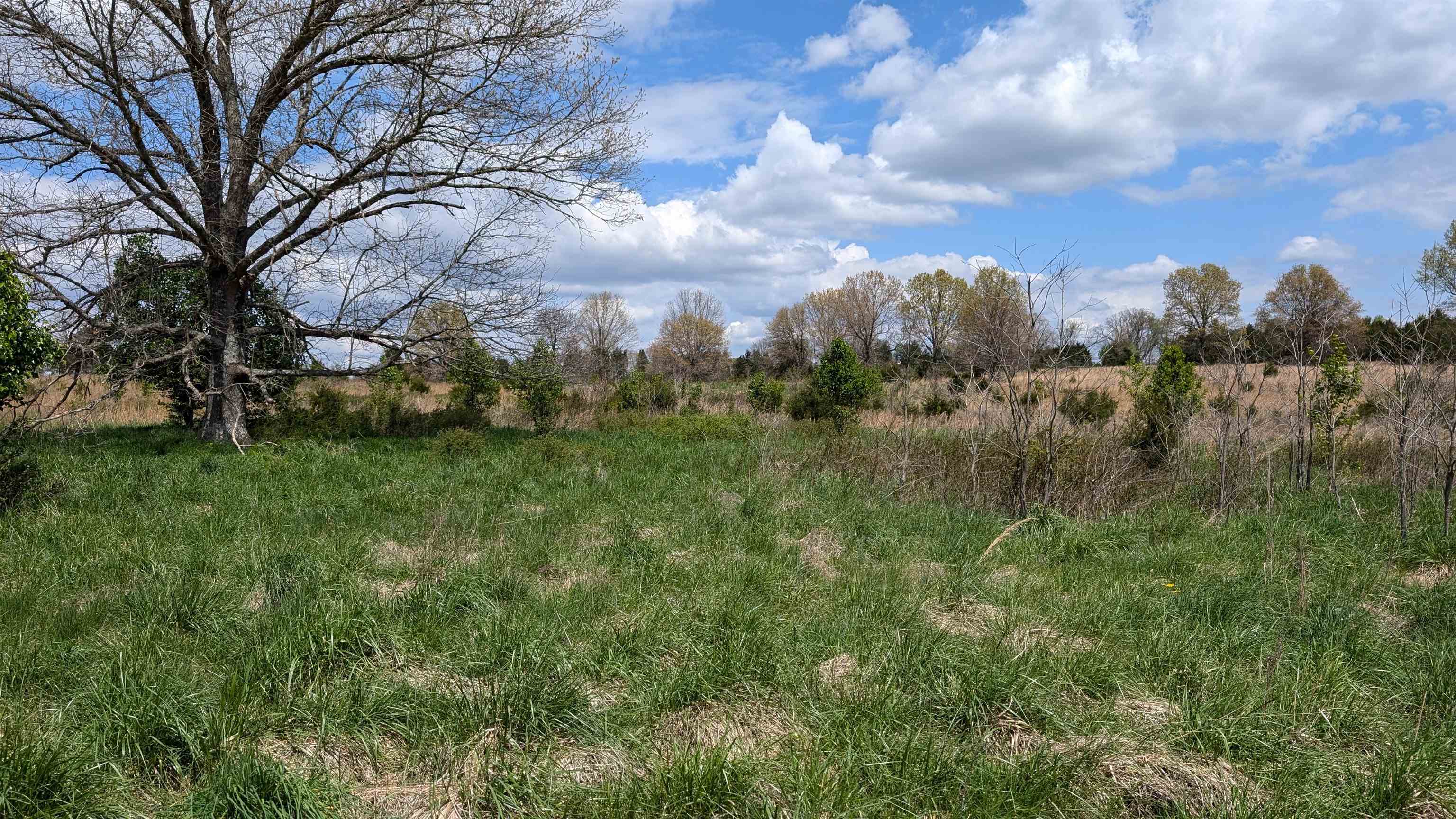 56 Highway Property Photo 5
