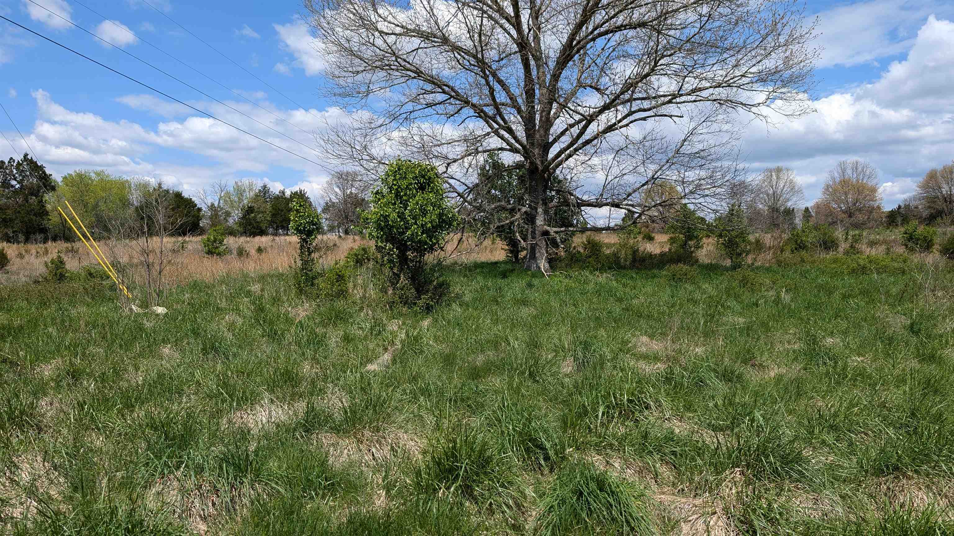 56 Highway Property Photo 6