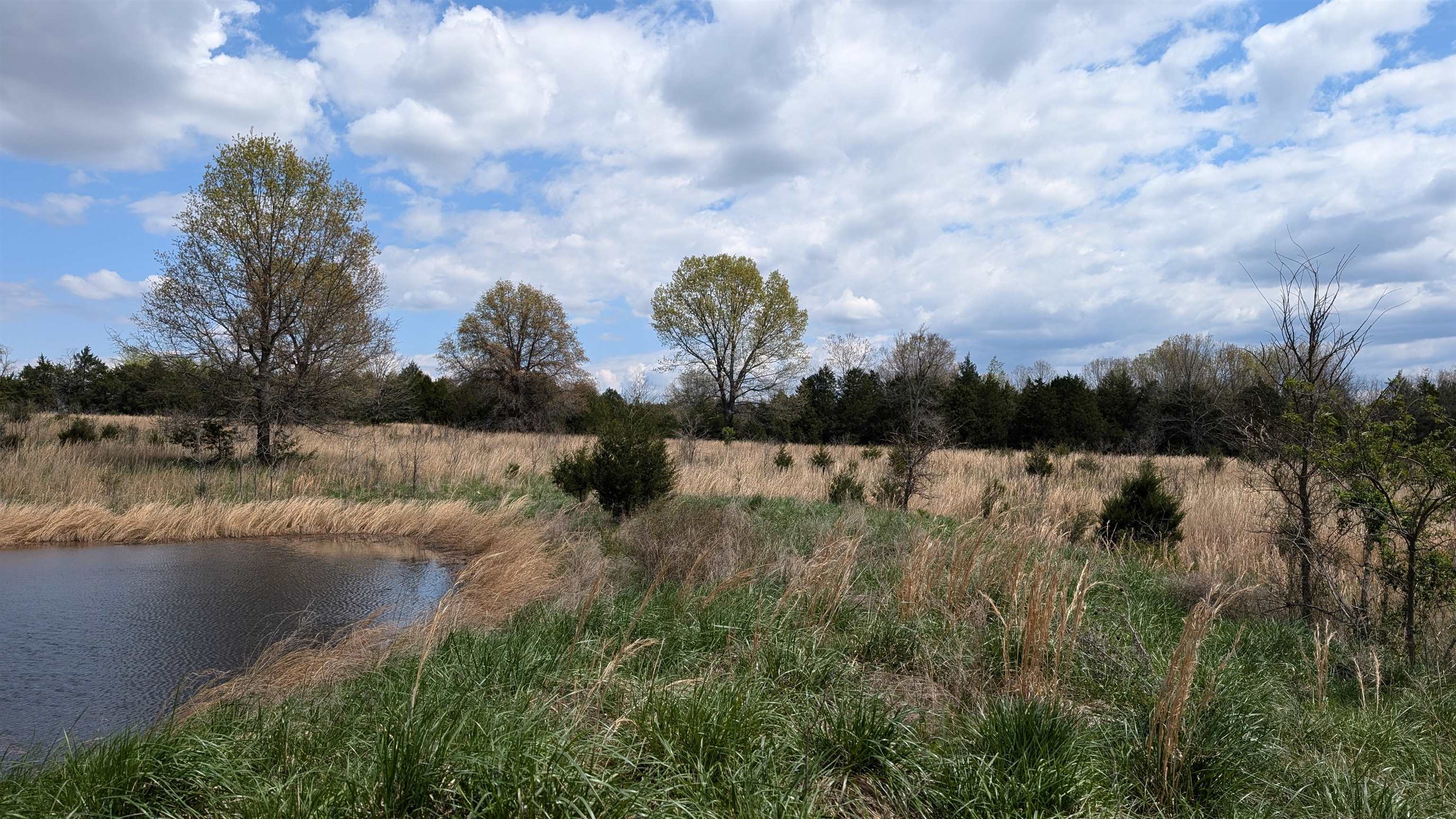 56 Highway Property Photo 10
