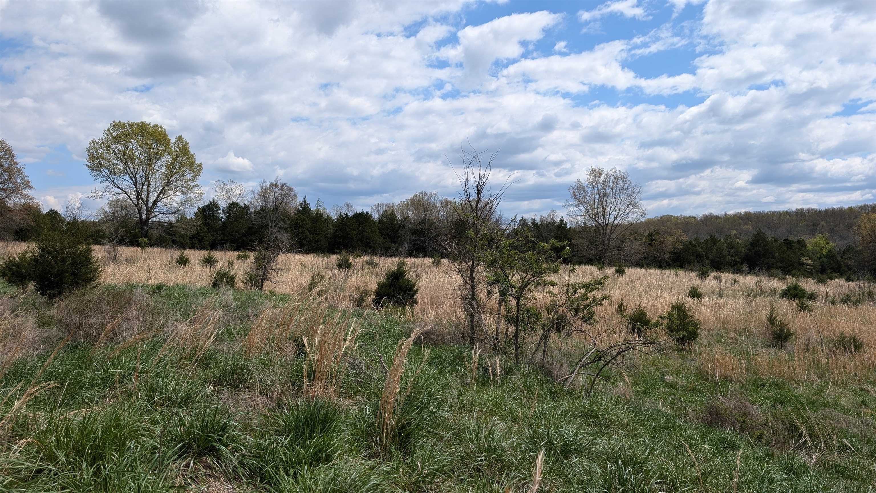 56 Highway Property Photo 11