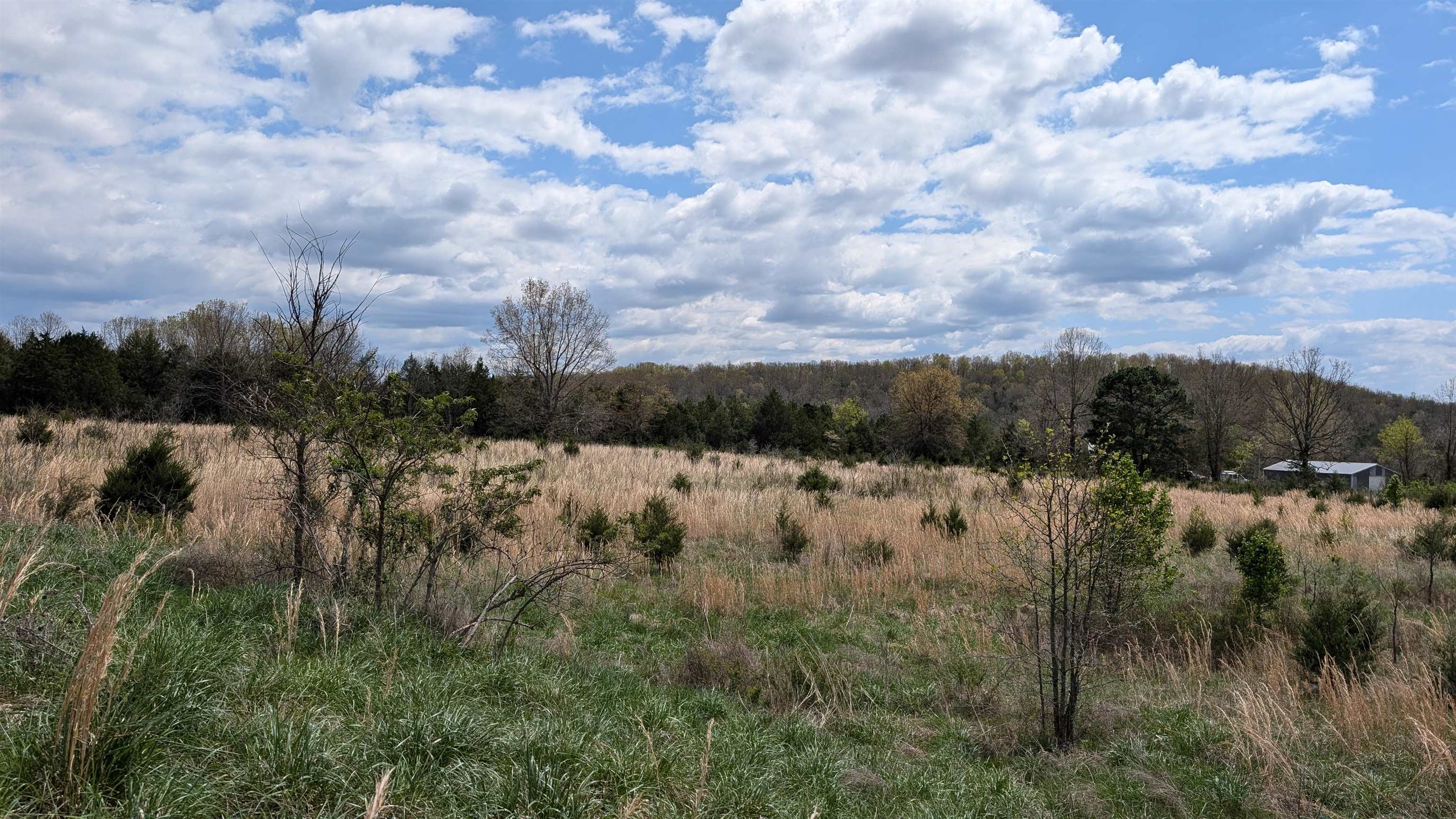 56 Highway Property Photo 12