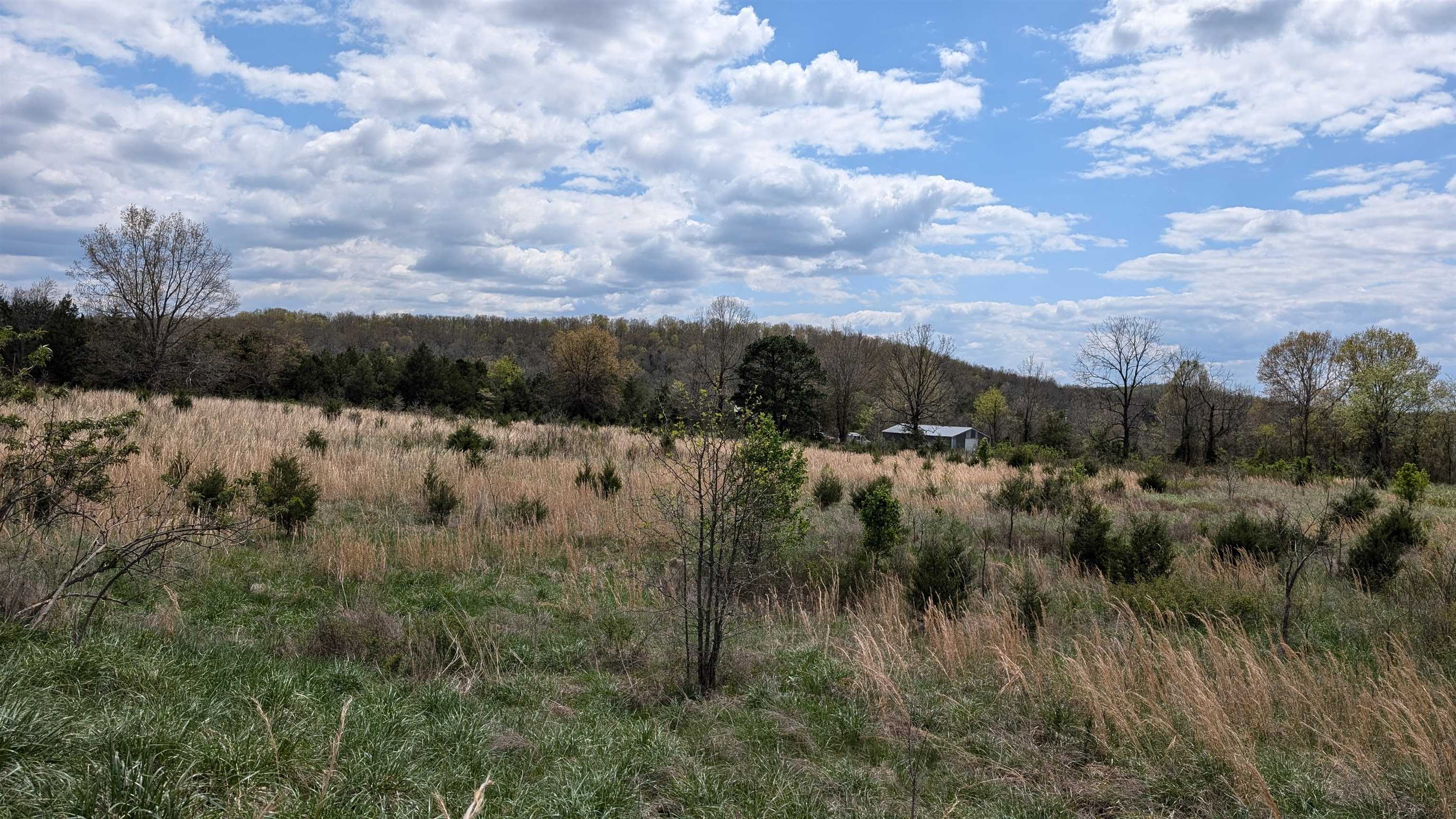 56 Highway Property Photo 13