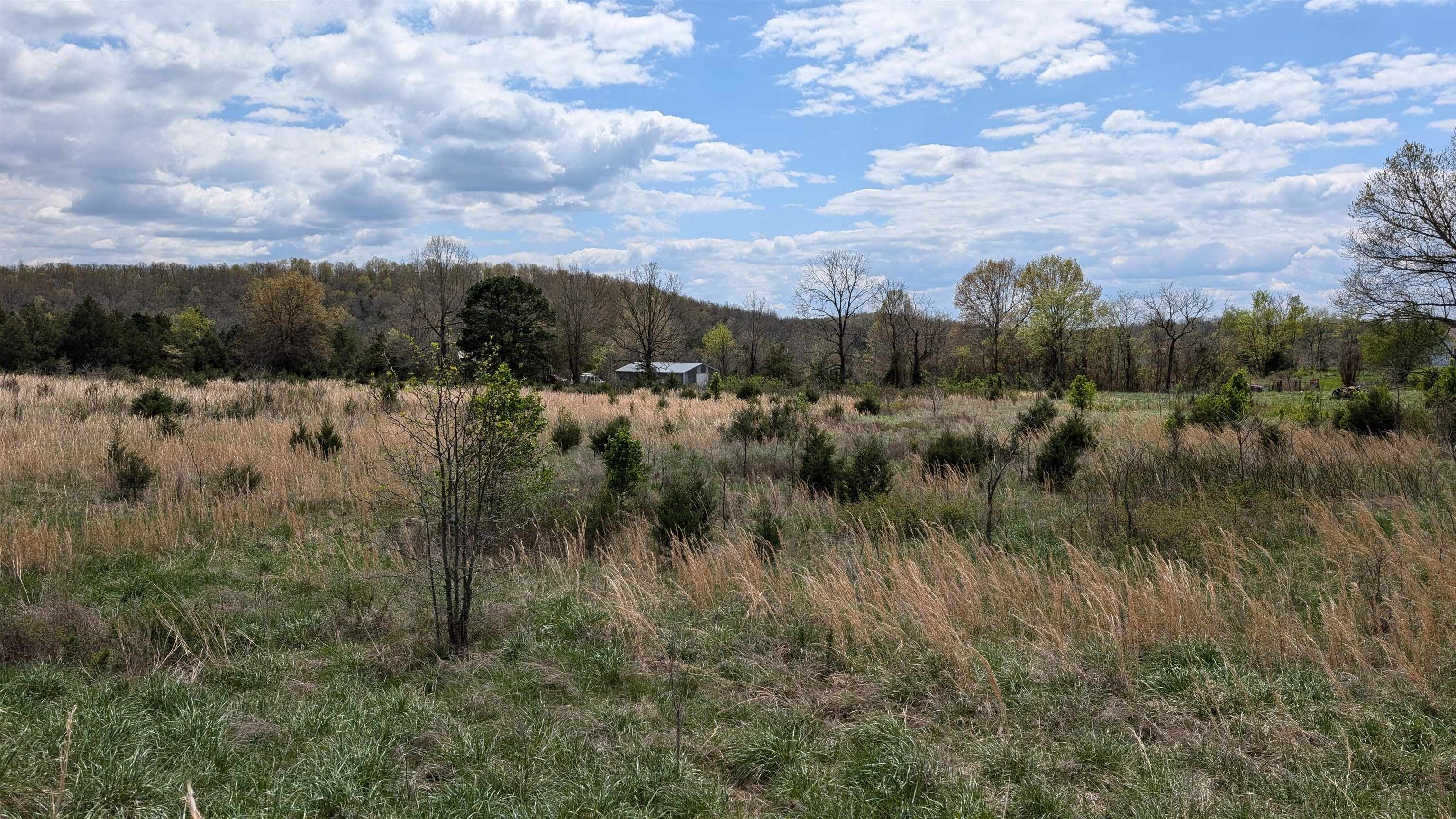 56 Highway Property Photo 14