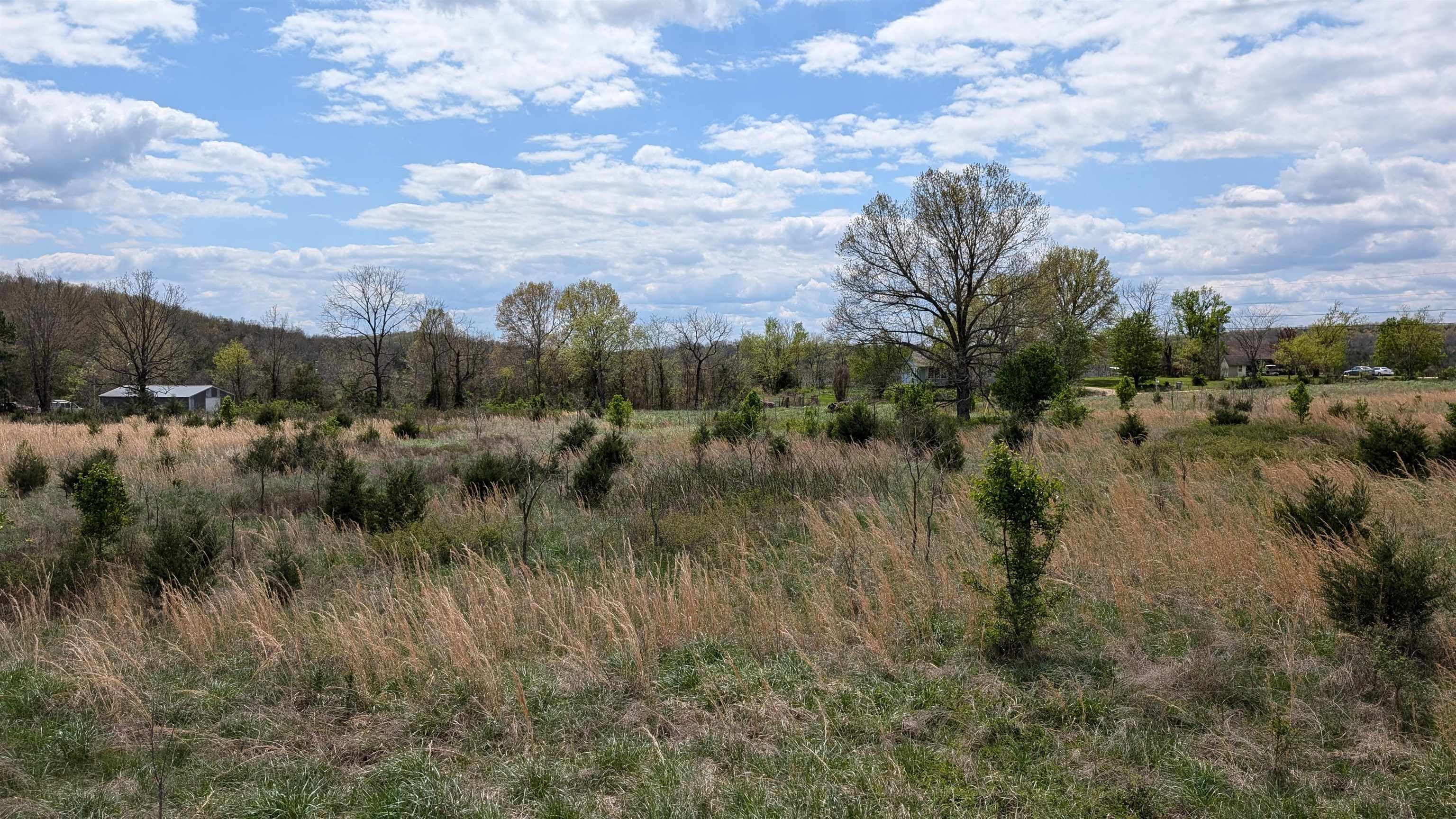 56 Highway Property Photo 15
