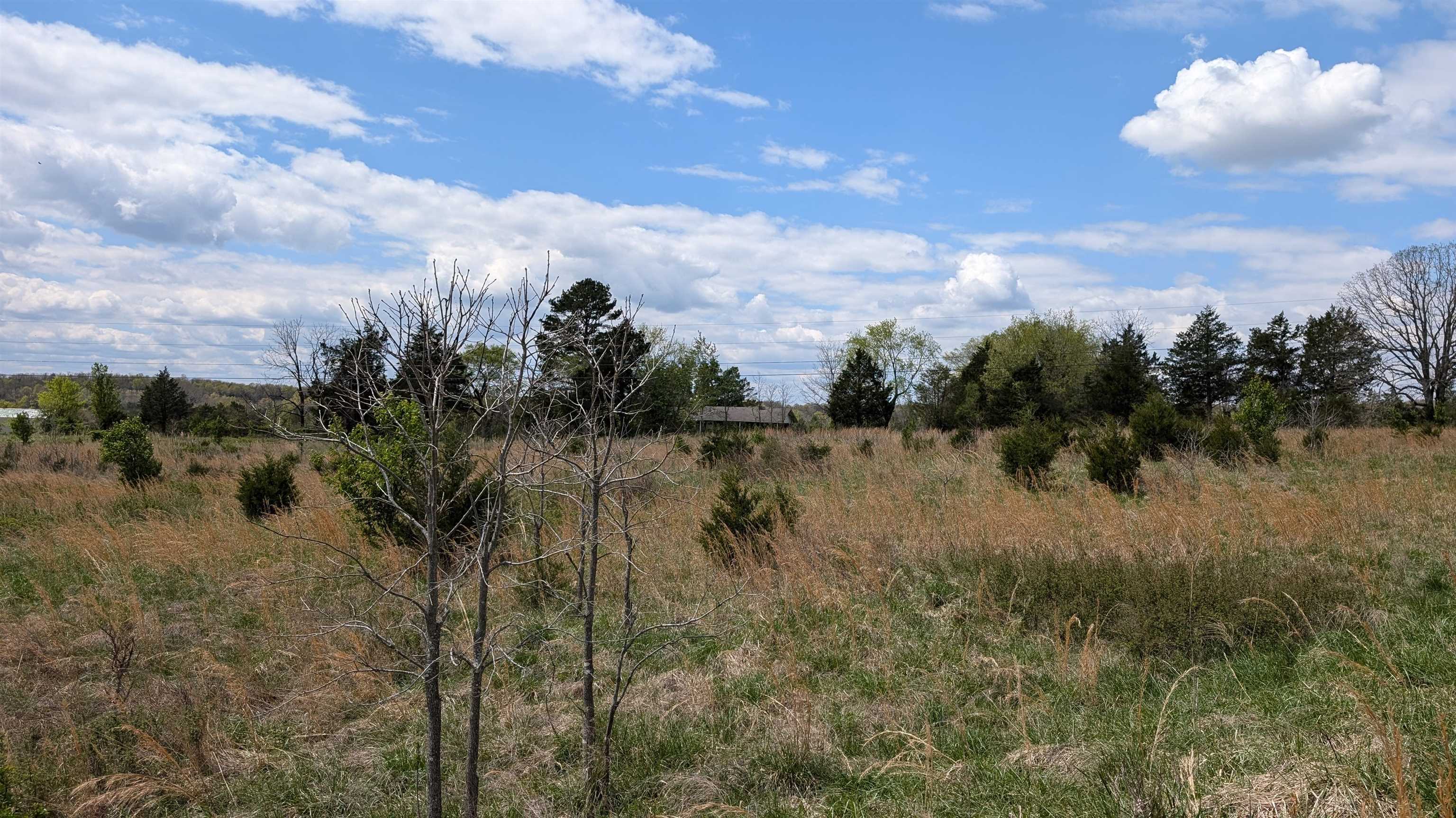 56 Highway Property Photo 19