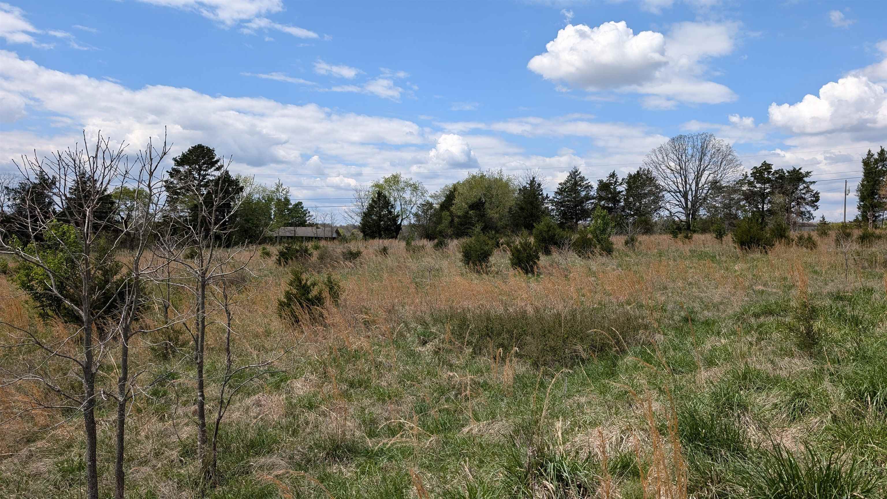 56 Highway Property Photo 20