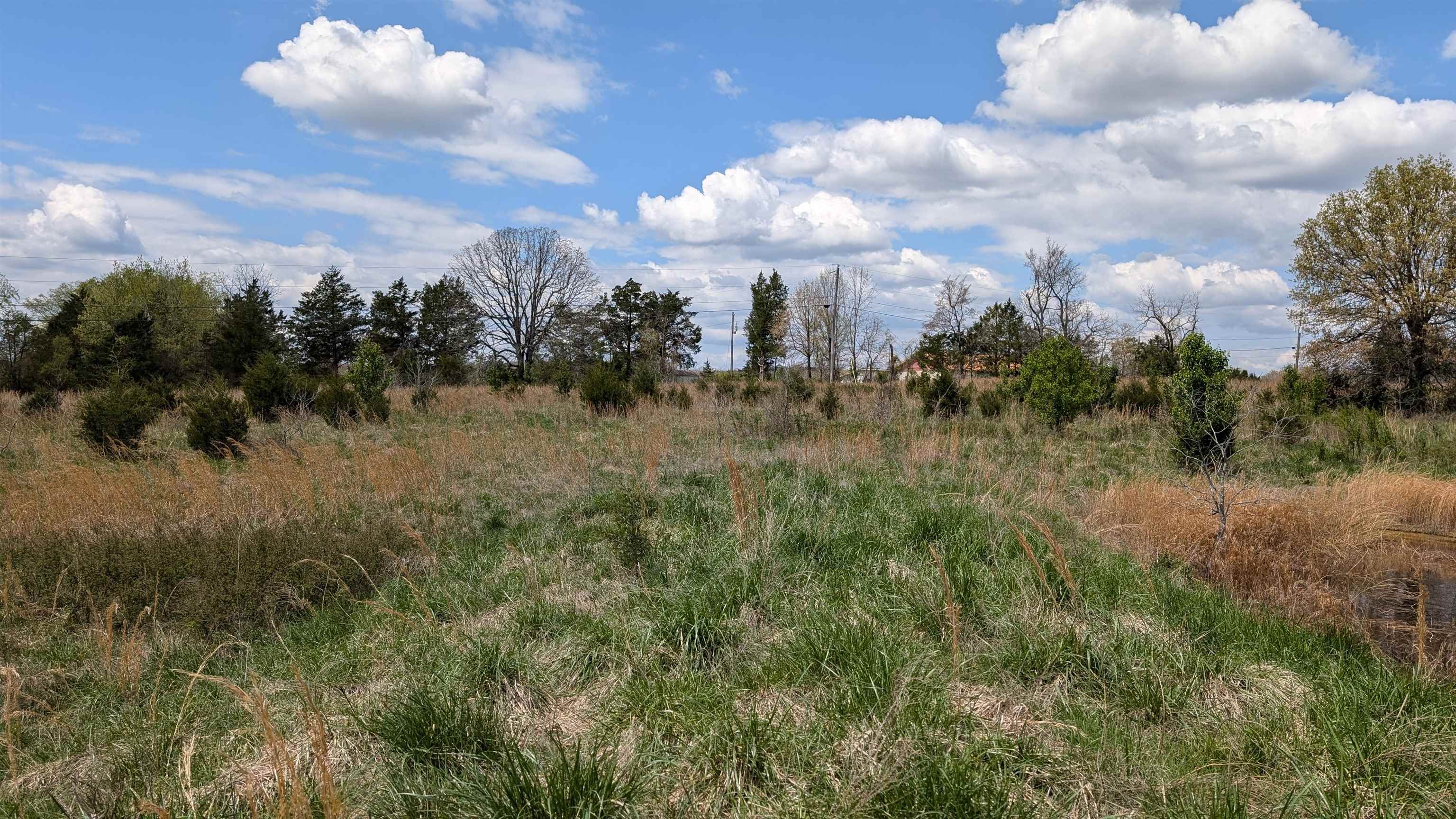 56 Highway Property Photo 22