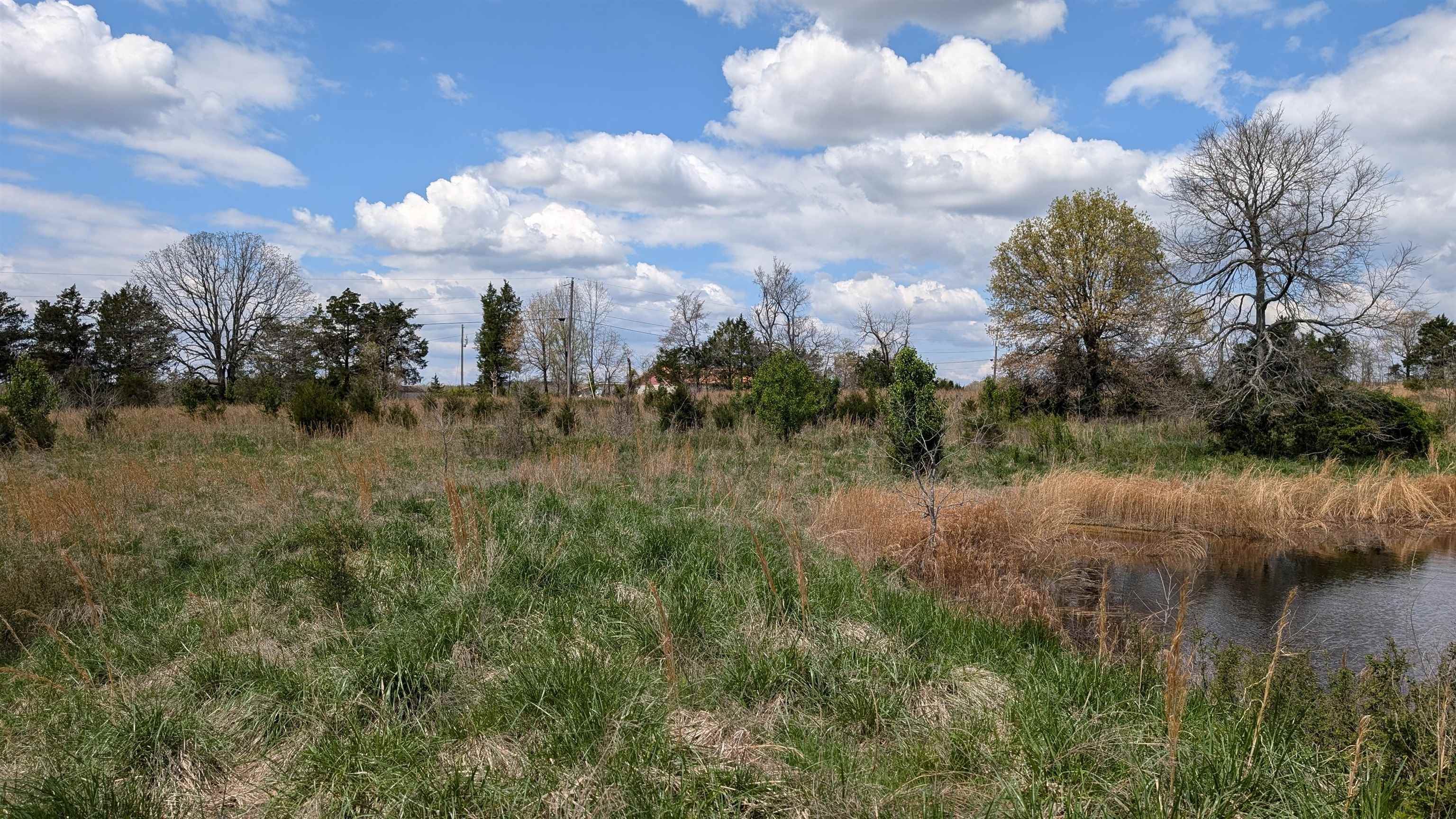 56 Highway Property Photo 23