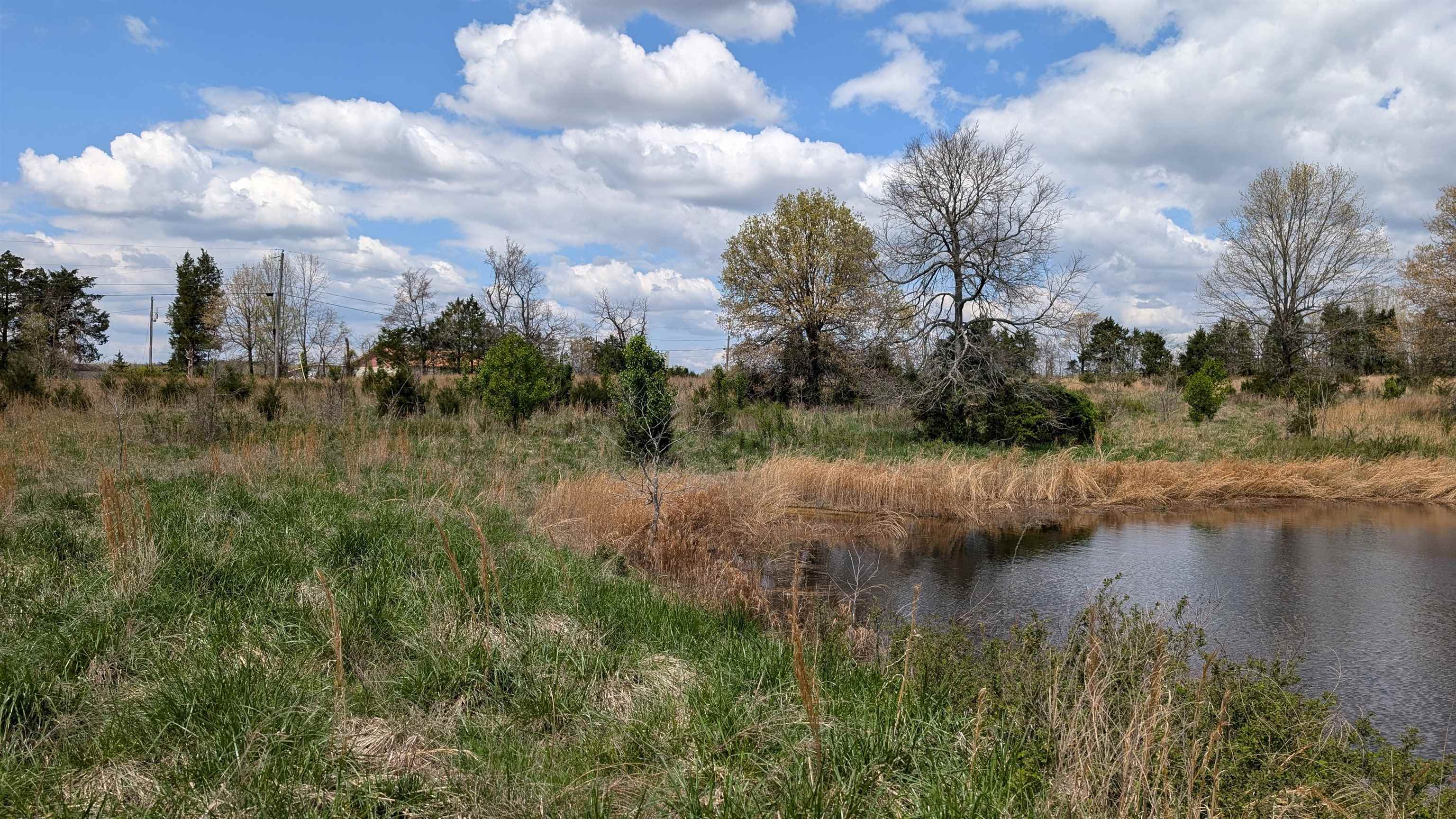 56 Highway Property Photo 24