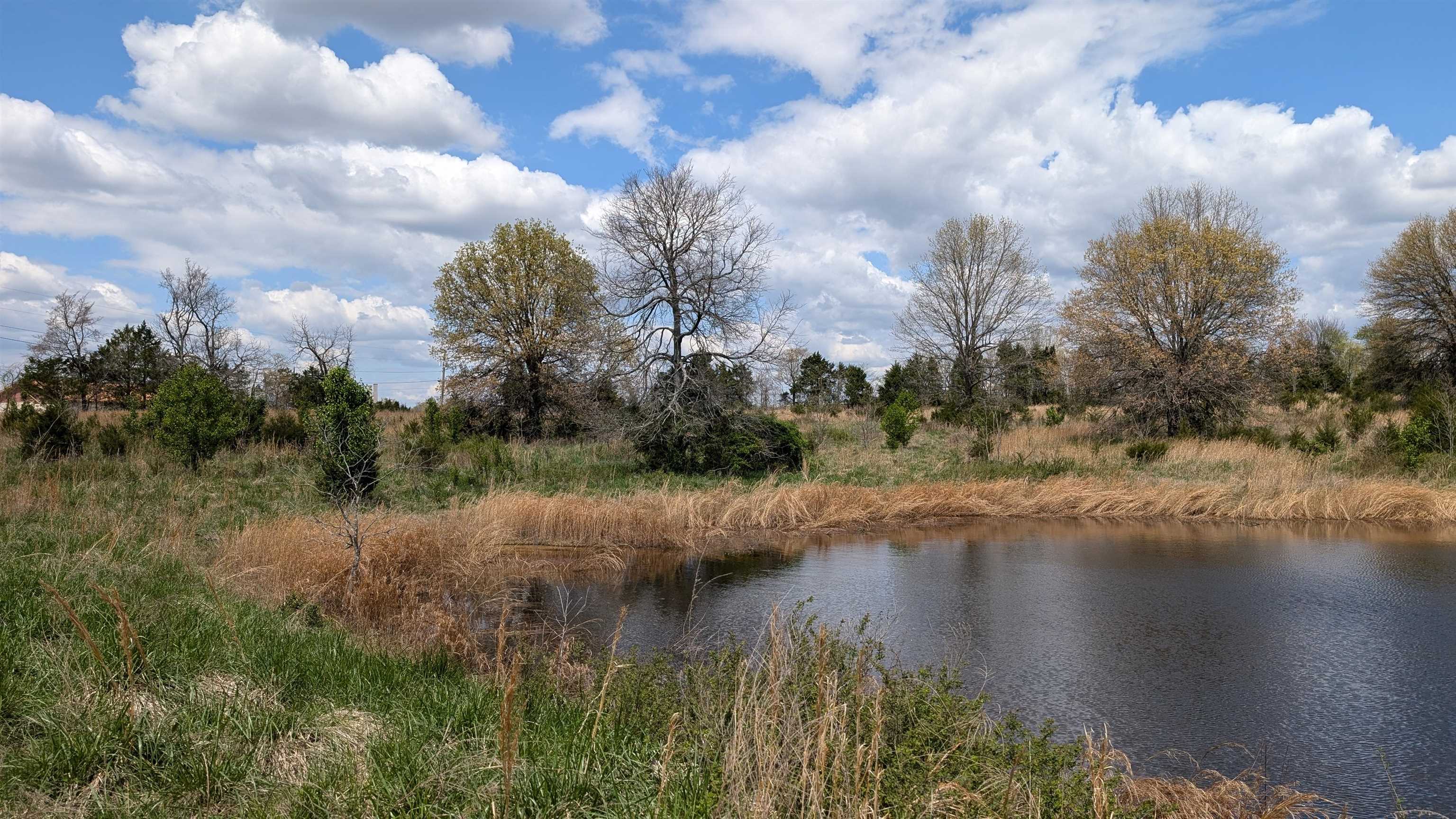 56 Highway Property Photo 25