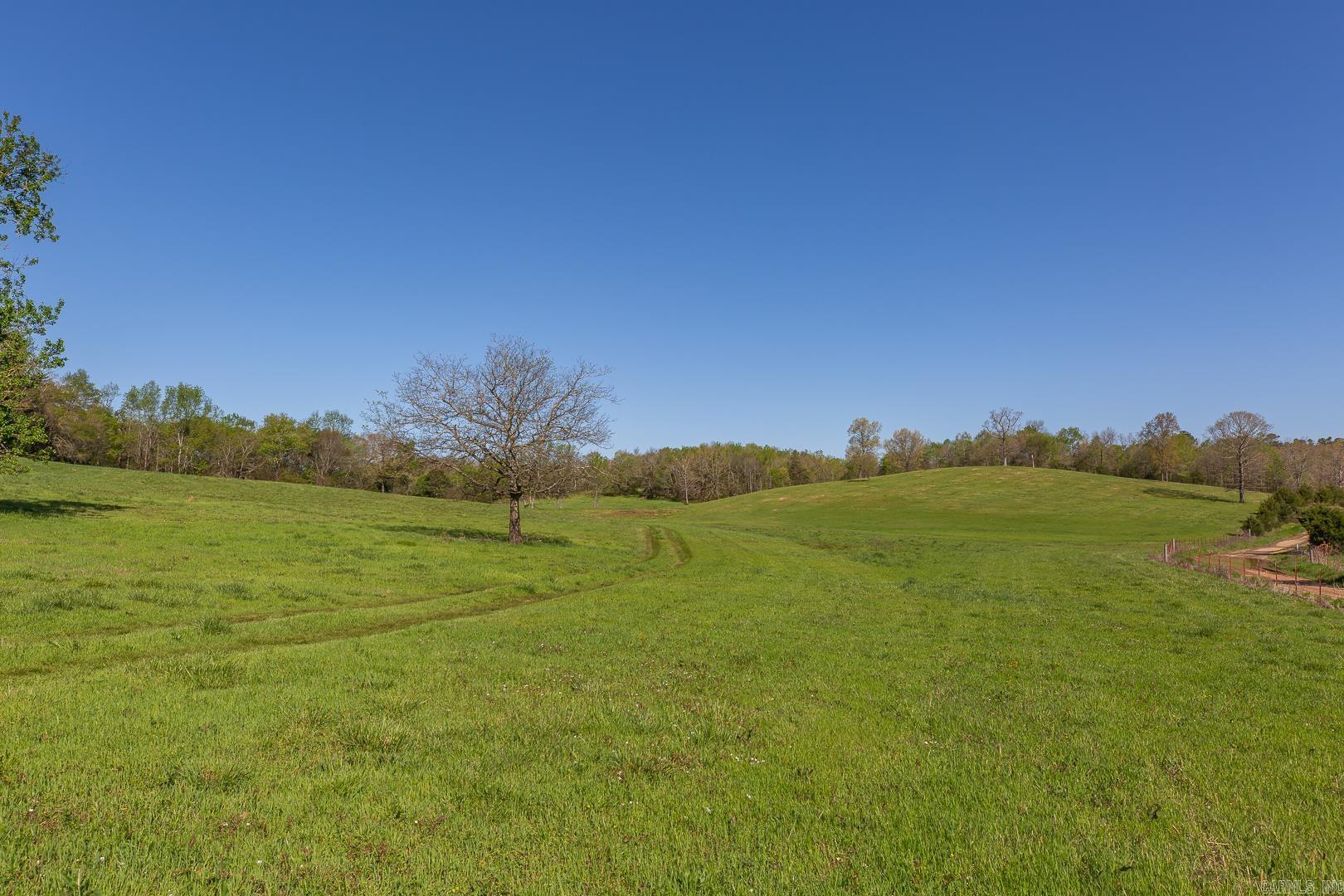 Unk Polk Road 670 Property Photo 2
