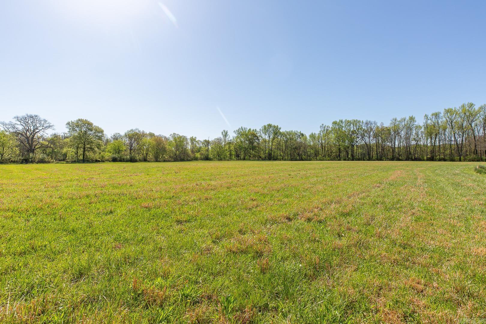 Unk Polk Road 670 Property Photo 3