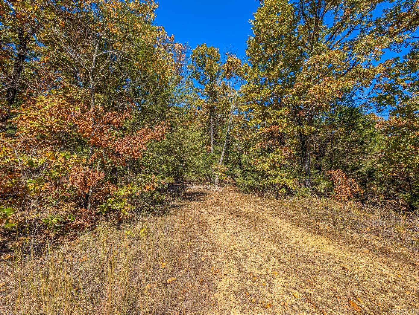 40 Acres Mc #113 Road Property Photo 2