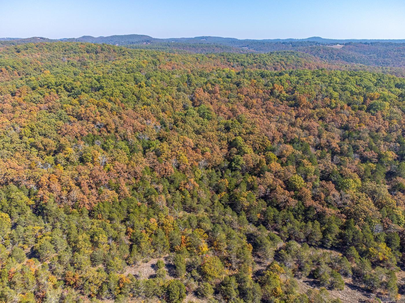 40 Acres Mc #113 Road Property Photo 3